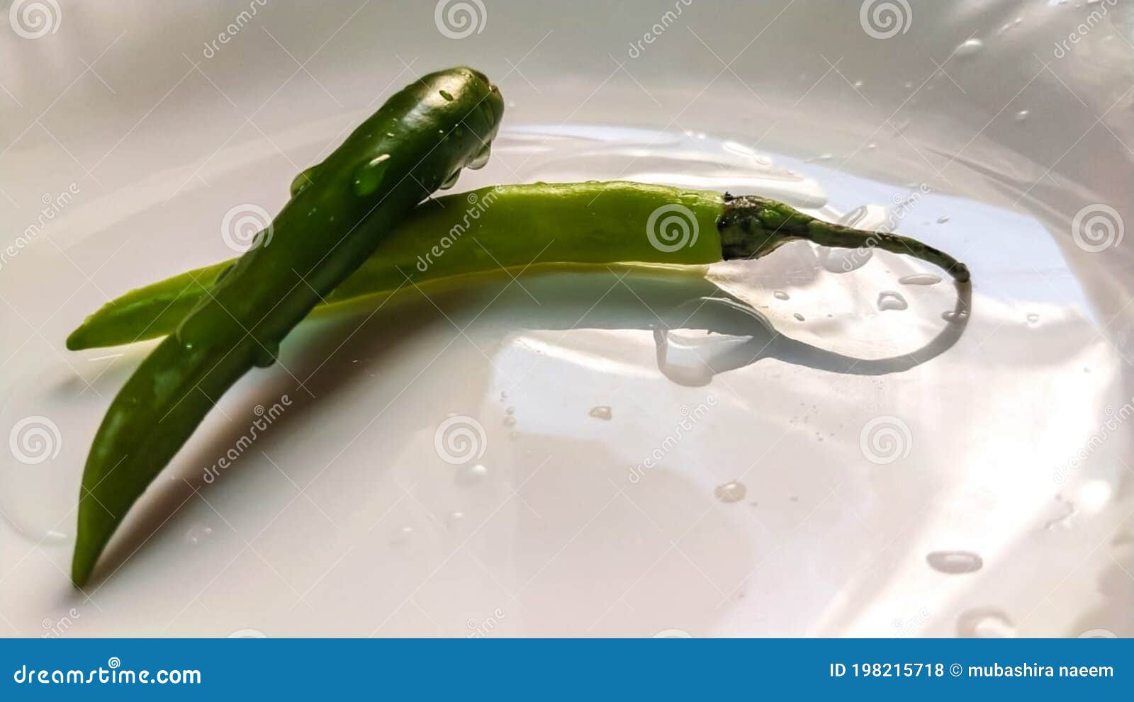 06102020. Fresh Hot Green Chillies Stock Photo Image of flower, animal 198215718