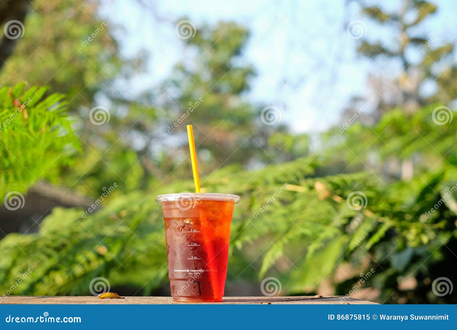 Fresh Iced Tea in Plastic Glass Stock Image Image of relax, brown