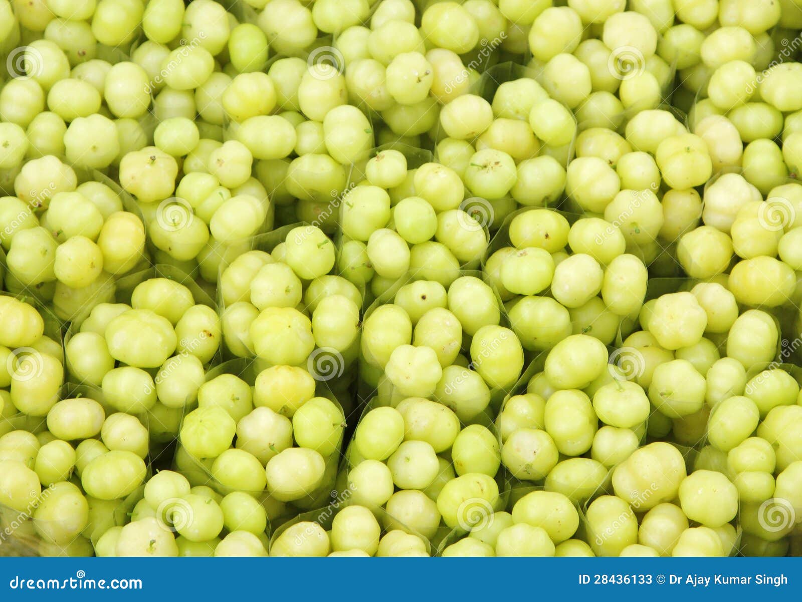 Fresh Indian Gooseberries Arranged in Packets Stock Image Image of
