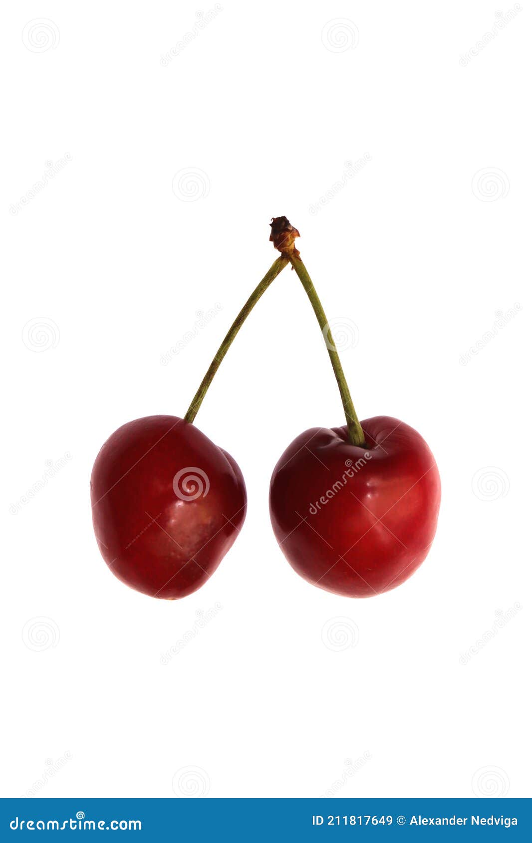 Fresh Isolated Double Cherries. Stock Image - Image of freshness, berry ...