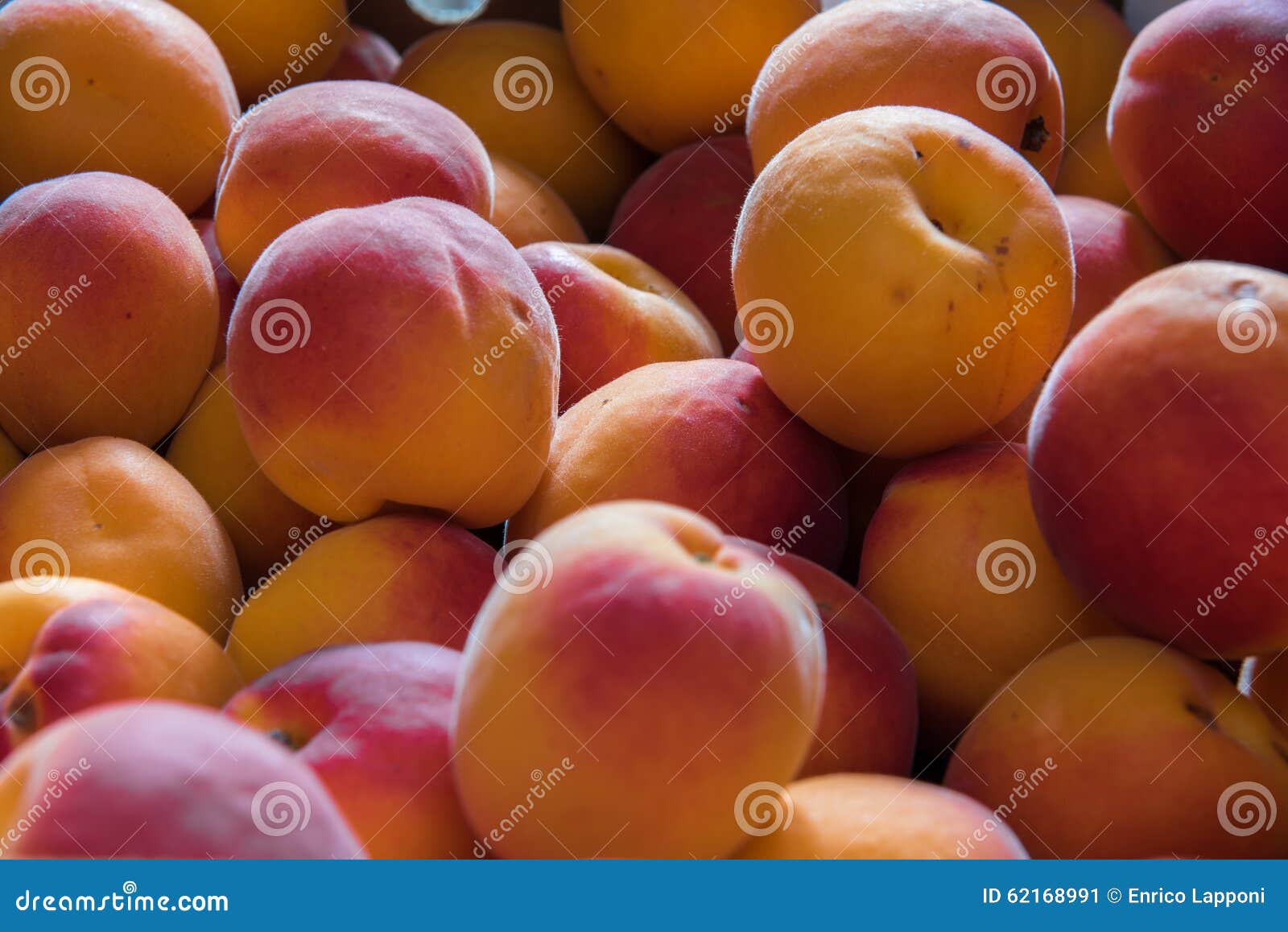 Fresh italian apricots stock image. Image of macro, italian 62168991
