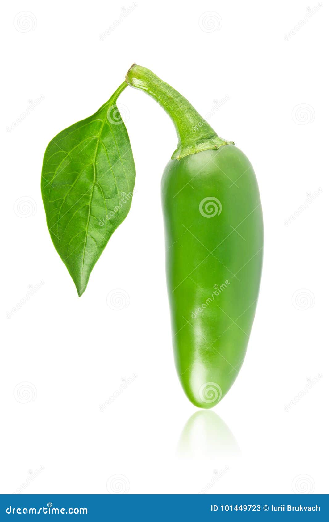 Fresh Jalapeno Chili Pepper with Green Leaf. Stock Image Image of