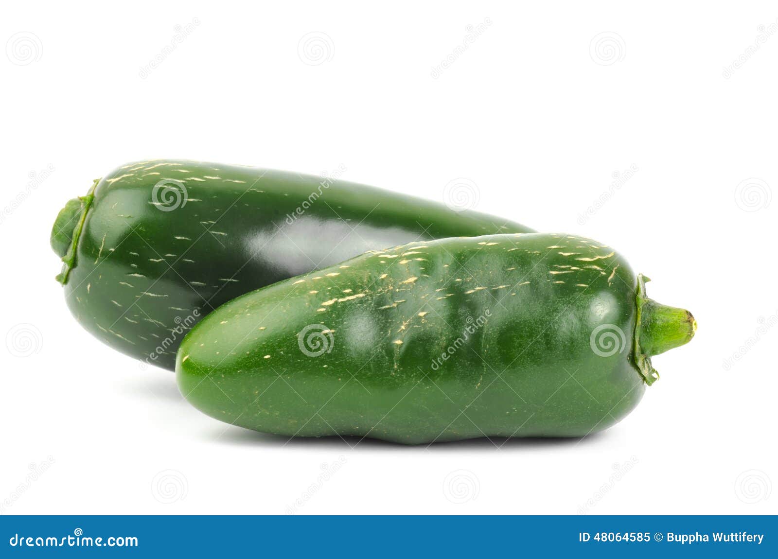 Fresh jalapeno pepper stock image. Image of chili, pepper 48064585
