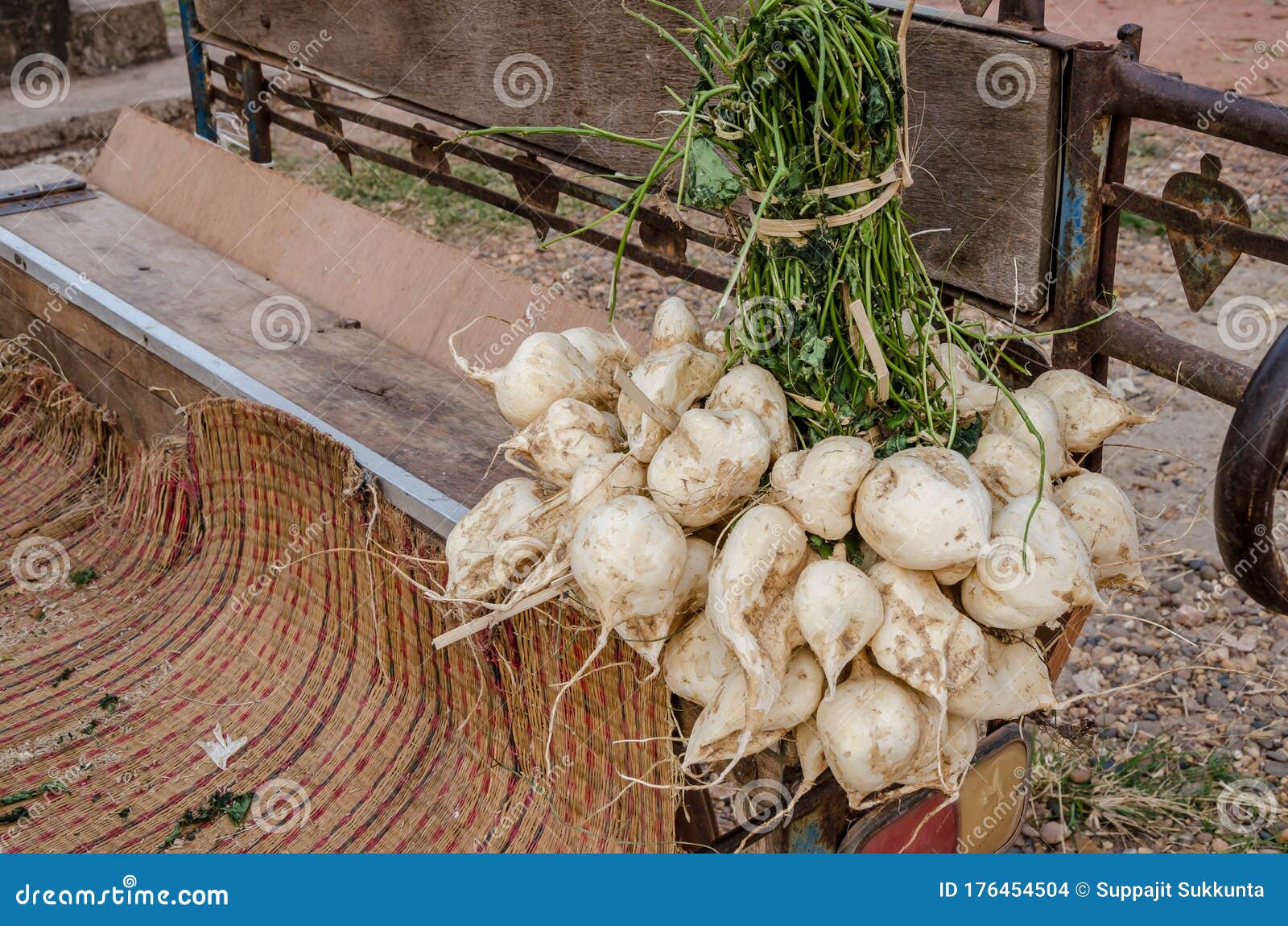 Jicama in markets,Thailand stock photo. Image of agricultural 176454504