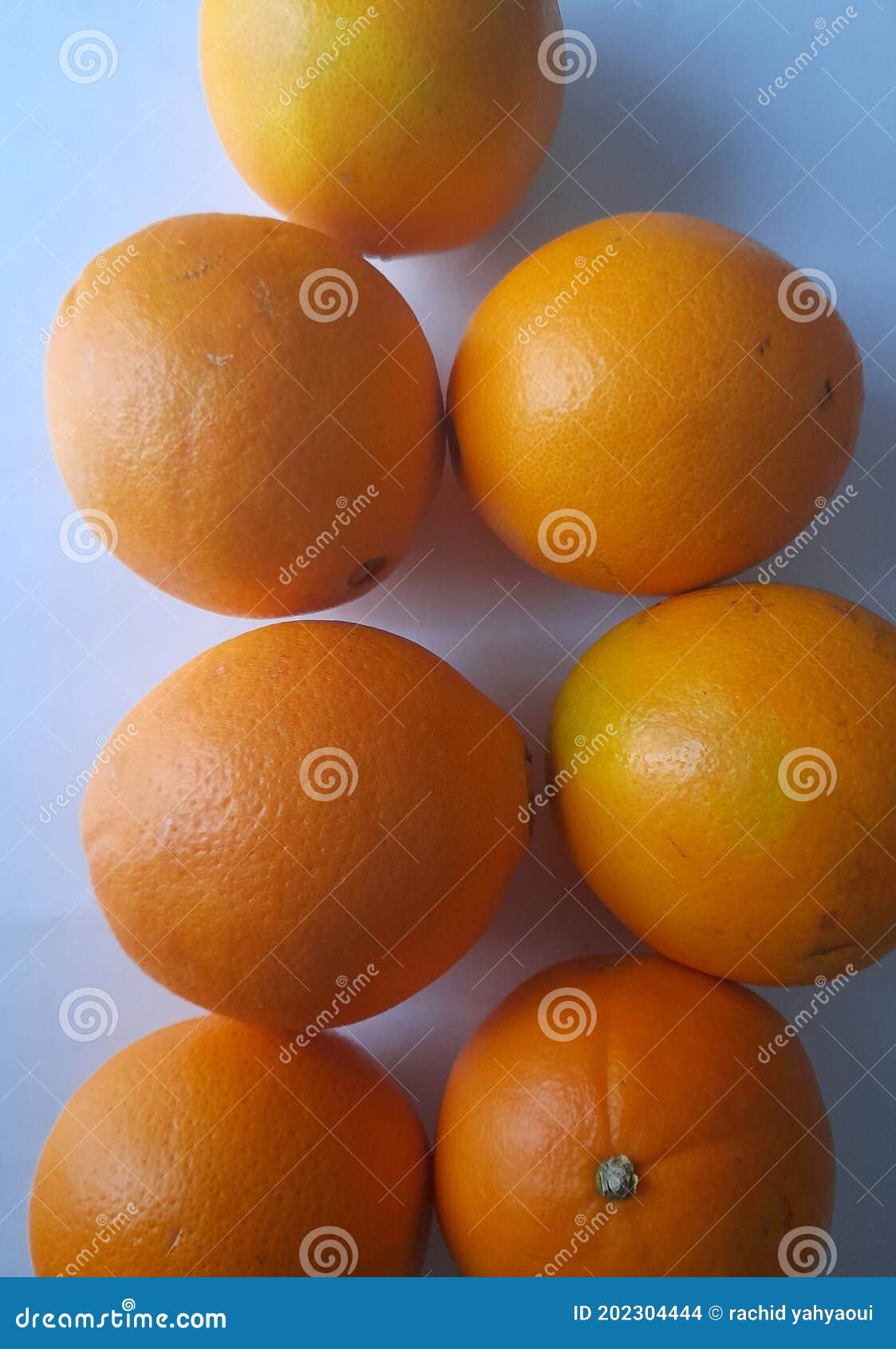 Fresh Juicy navel oranges stock photo. Image of tomato 202304444