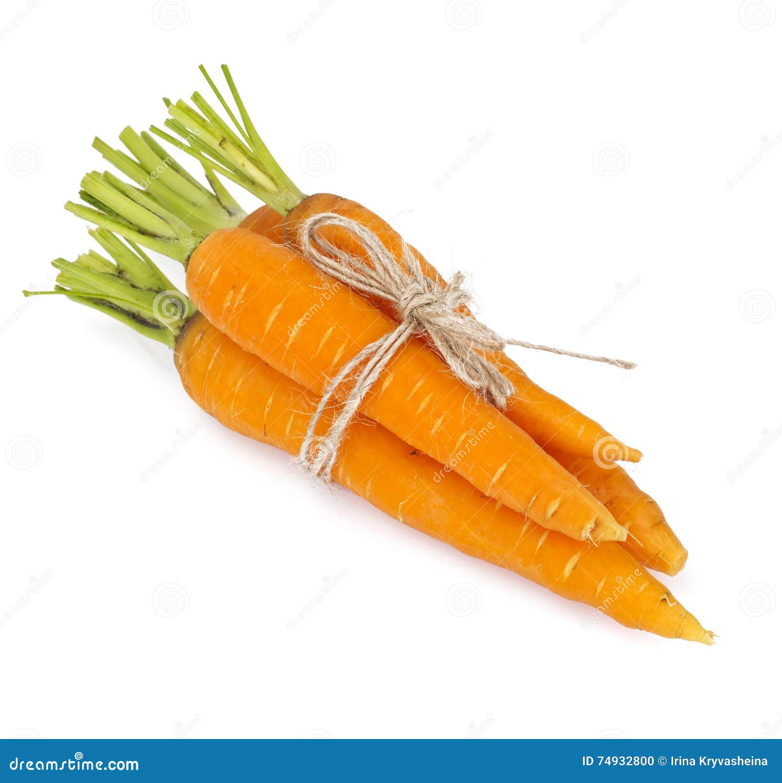 Fresh Juicy Orange Carrots stock photo. Image of carrot 74932800