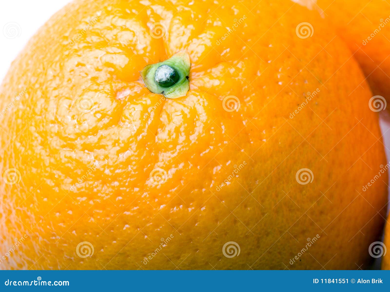 Fresh Juicy Orange Fruit Closeup Stock Image Image of circle, orange