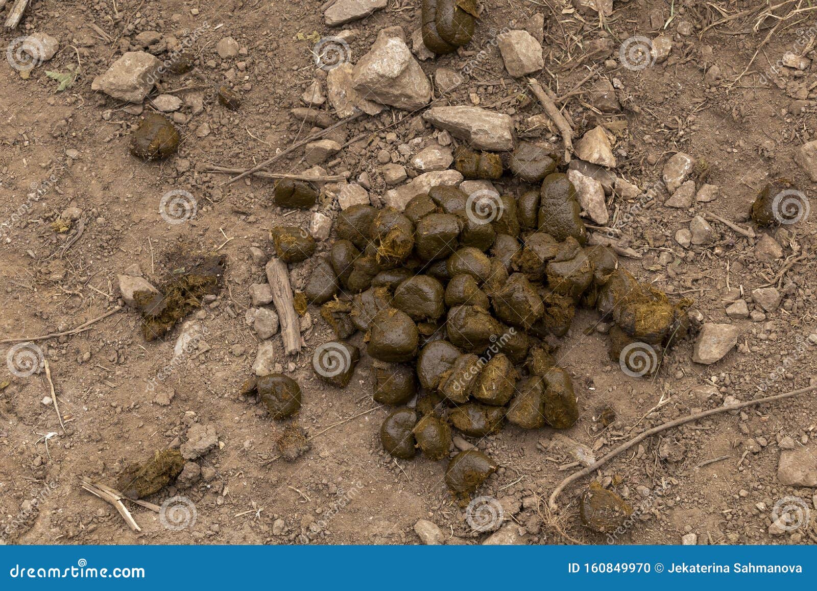 animation throwdown farming the most golden turds animation throwdown farming the most golden turds