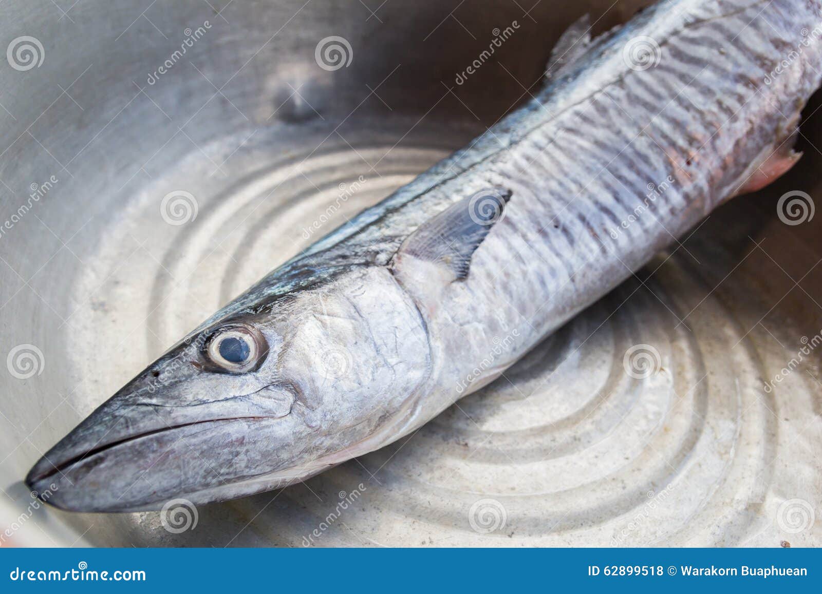 Fresh king mackerel fish stock photo. Image of isolated 62899518