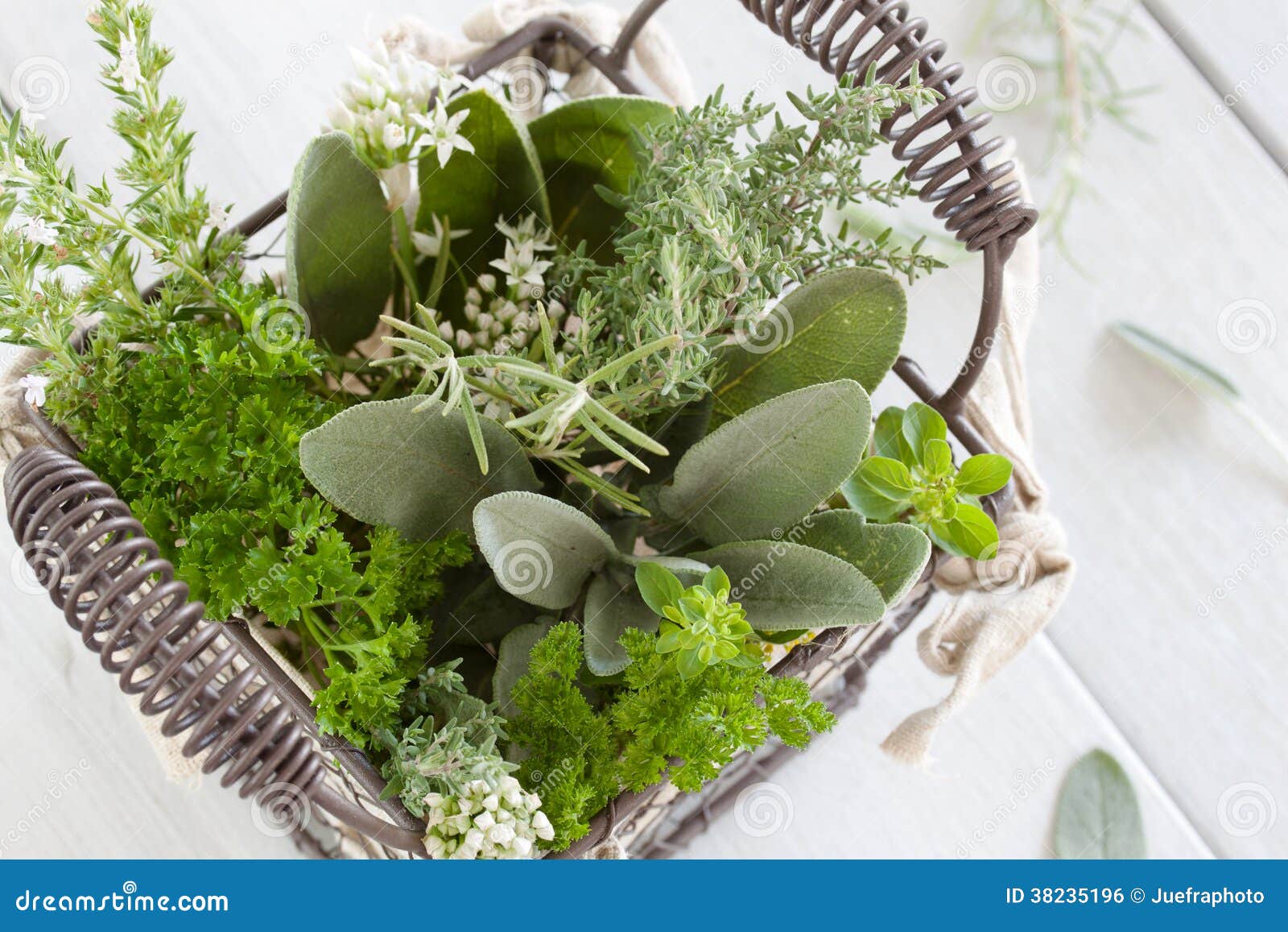 Fresh kitchen herbs stock photo. Image of herb, condiments 38235196