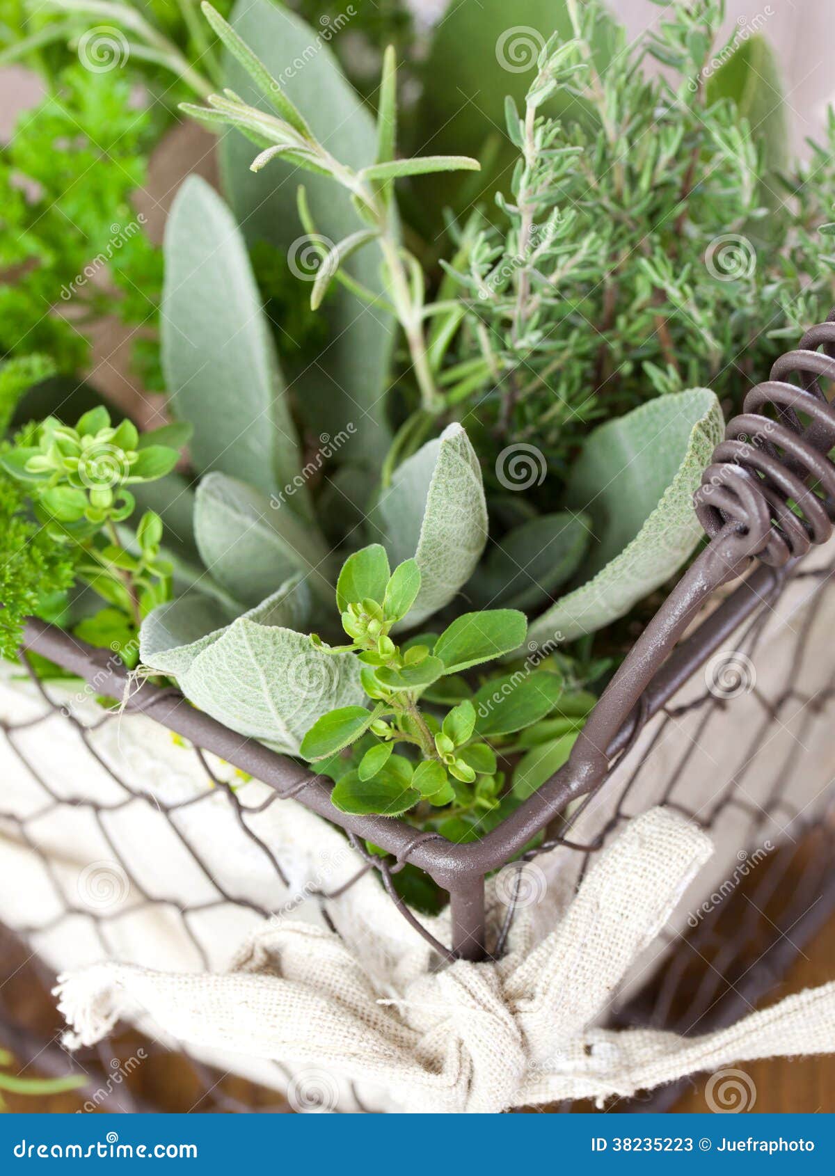 Fresh kitchen herbs stock image. Image of aromatic, herb 38235223