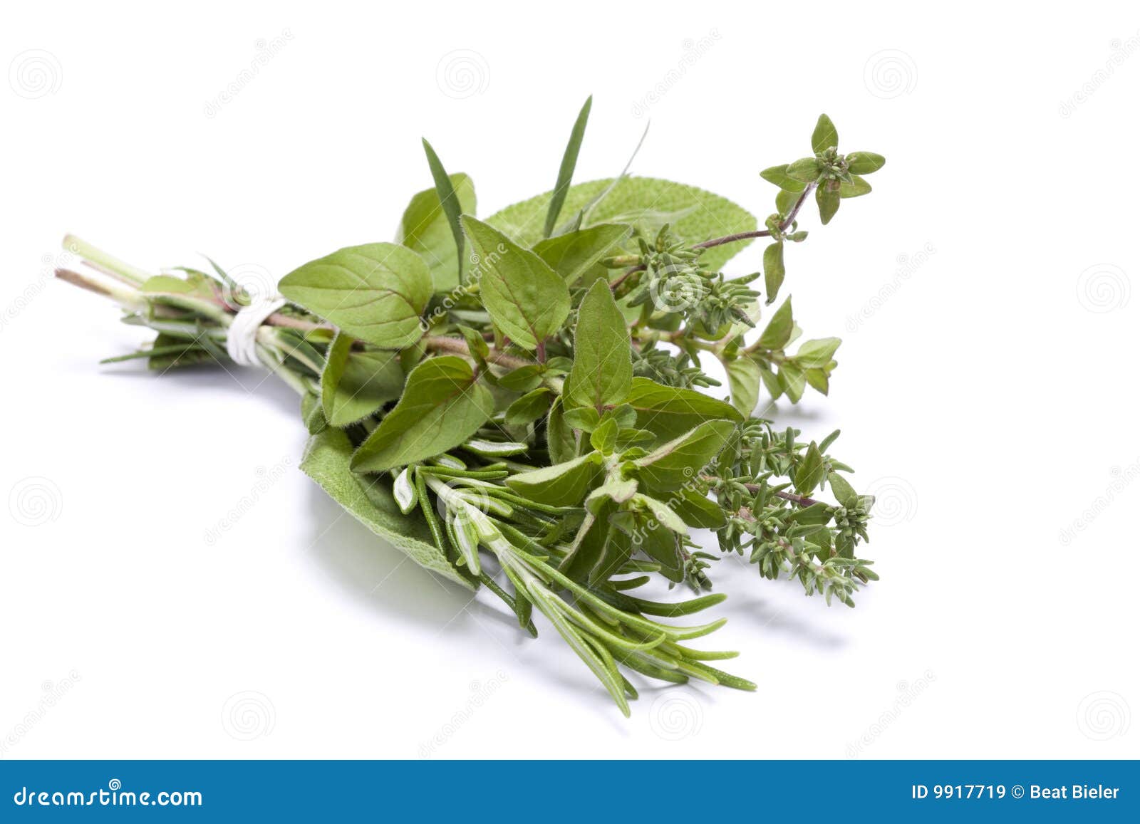 Fresh kitchen herbs stock image. Image of fresh, rosemary 9917719
