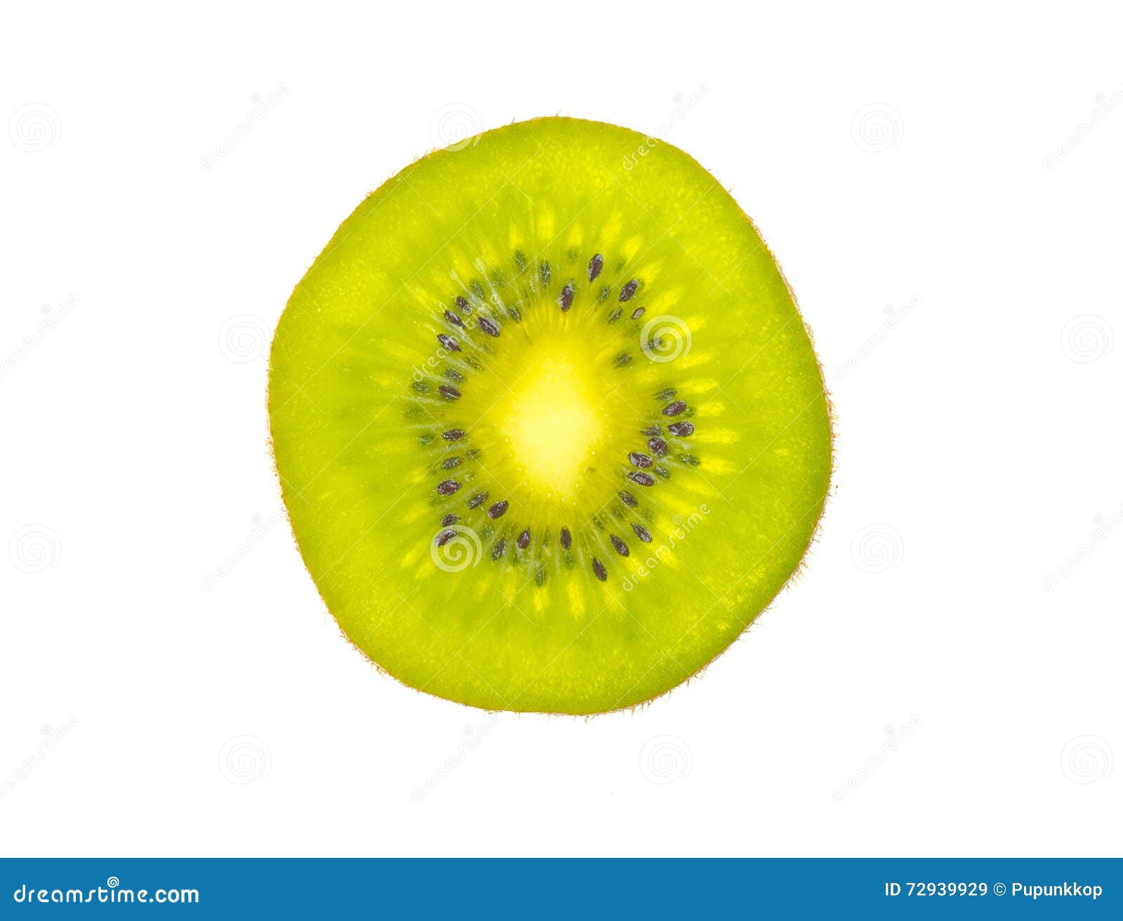 Fresh Kiwi Fruit Slice Isolated Stock Image Image of exotic, healthy