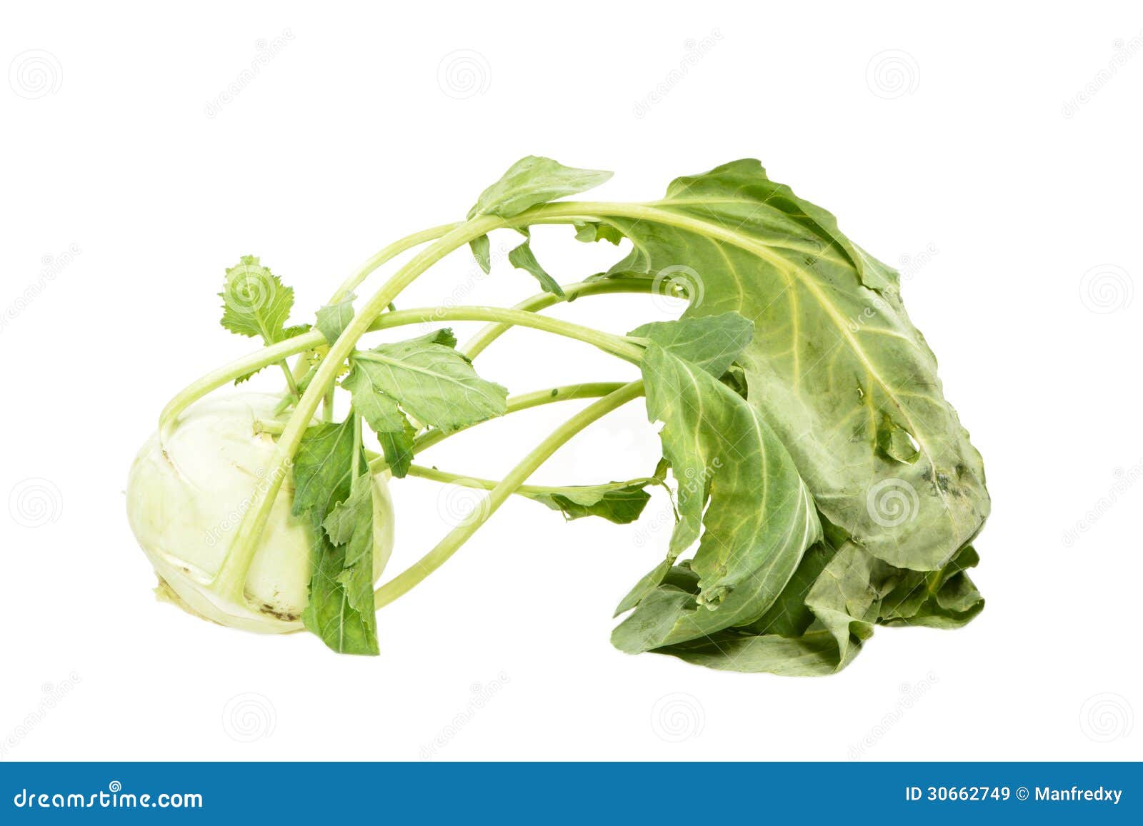 Fresh Kohlrabi stock image. Image of edible, isolated 30662749
