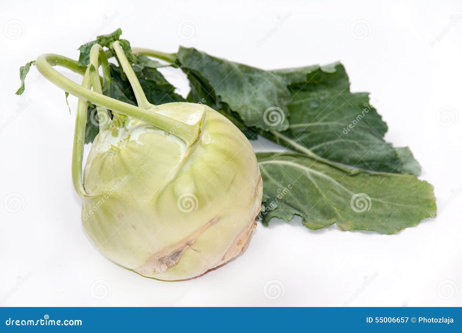 FRESH KOHLRABI stock image. Image of summer, nutritious 55006657