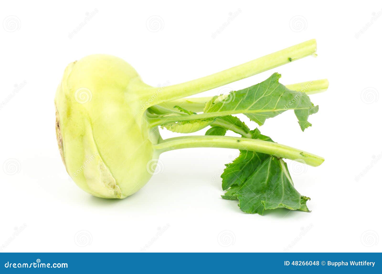 Fresh kohlrabi stock photo. Image of vegetable, food 48266048