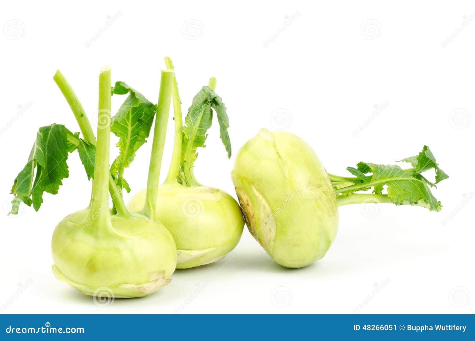 Fresh kohlrabi stock image. Image of healthy, nature 48266051