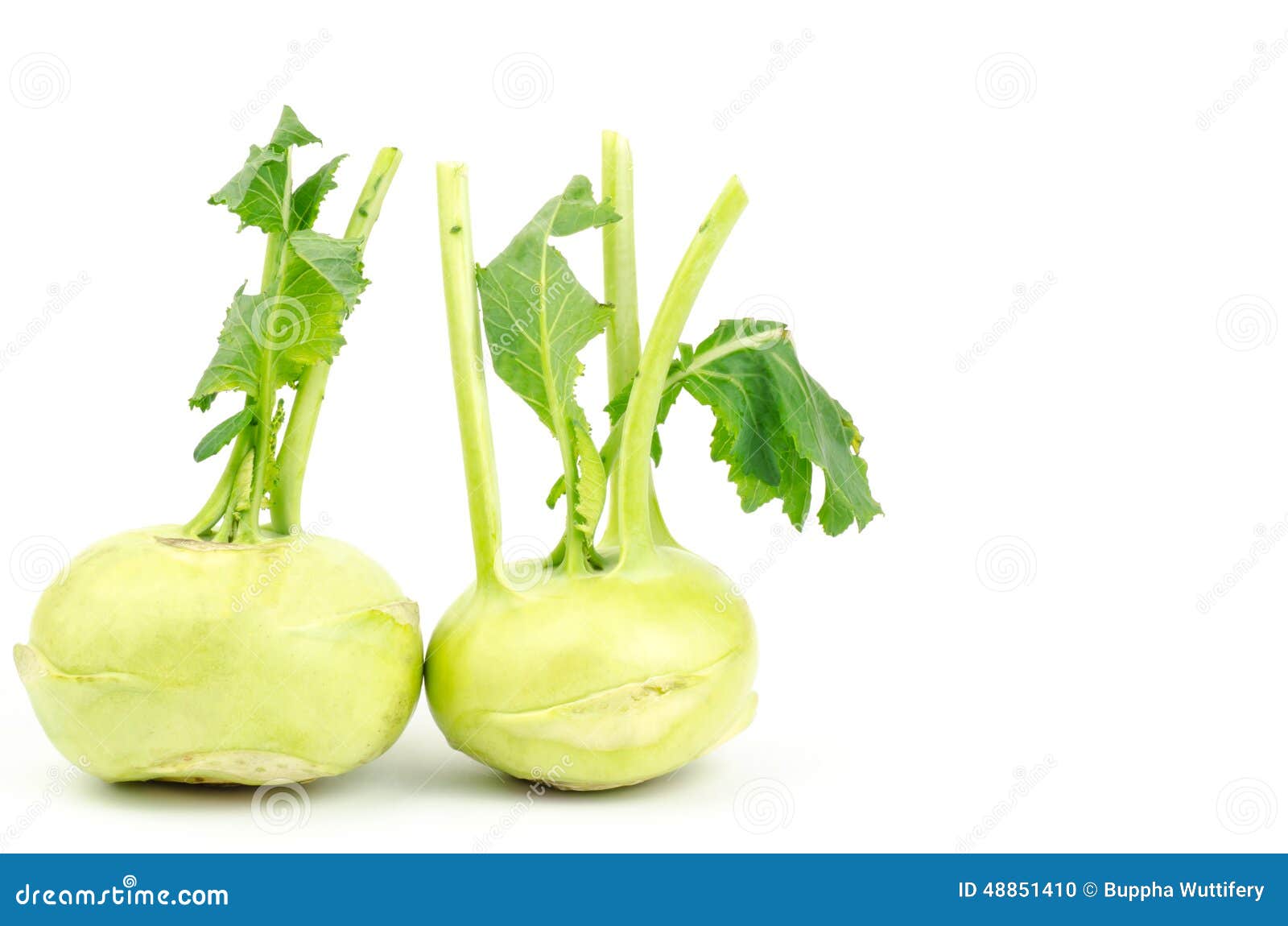Fresh kohlrabi stock photo. Image of food, nutrient, fresh 48851410