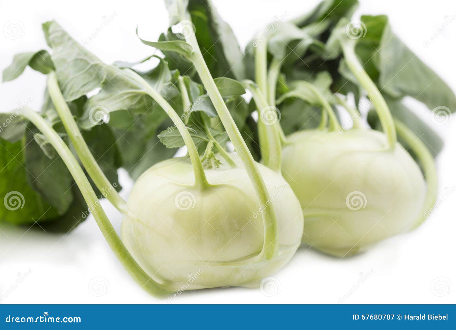 Fresh kohlrabi stock image. Image of plant, fresh, natural 67680707