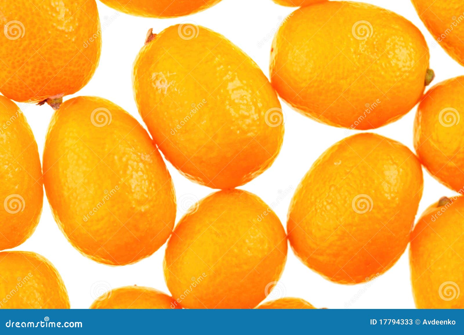 Fresh kumquats stock image. Image of vitamin, background 17794333