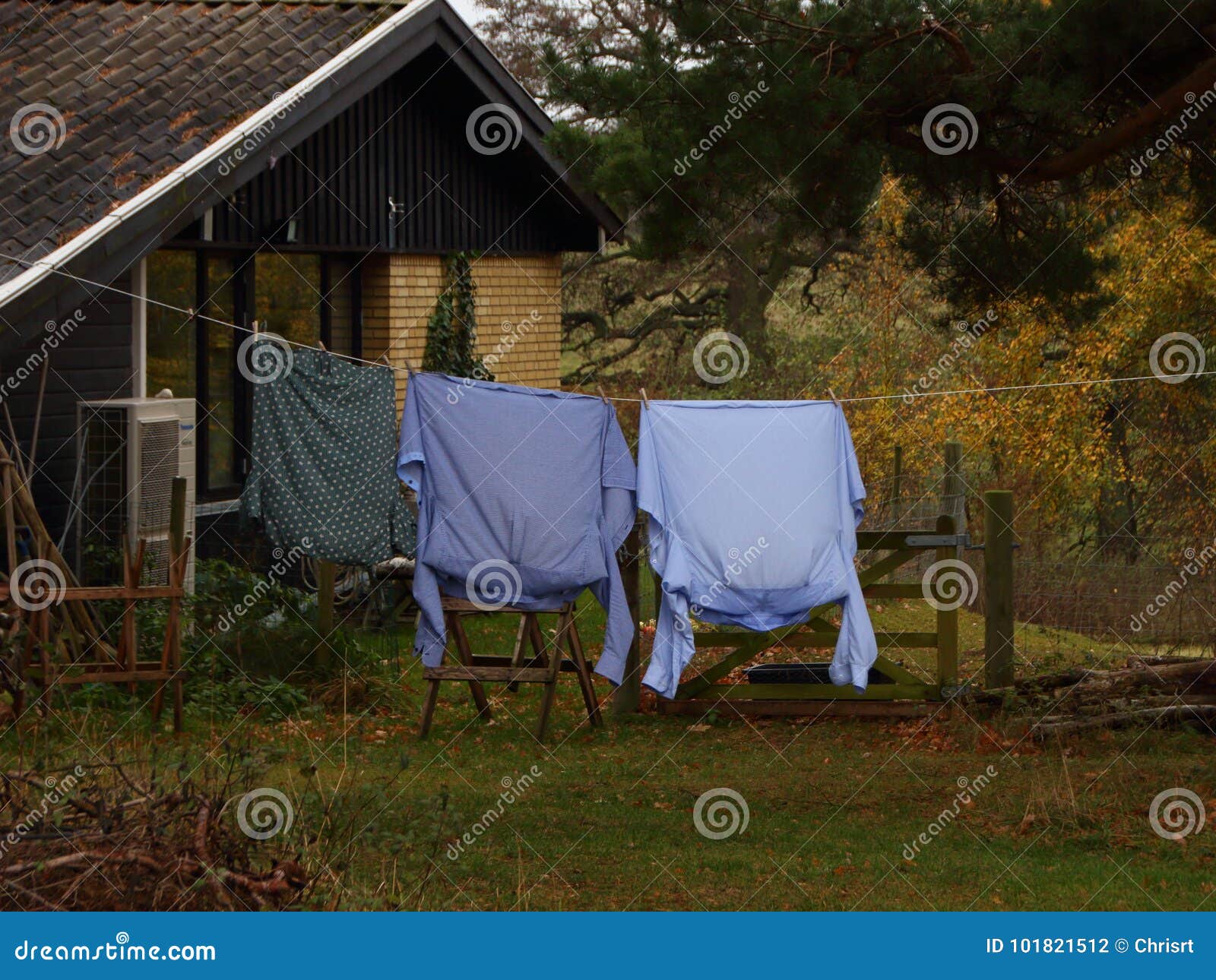 Fresh Laundry Shirts Hanging on Line in Green Garden Stock Photo ...