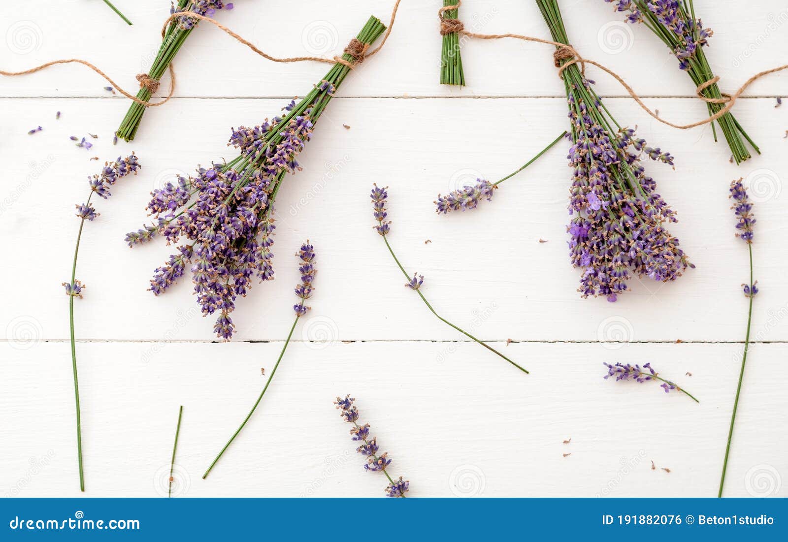 fresh lavender flowers and bouquets are dried on white wooden background. bunches of lavender flowers dry. apothecary herbs for