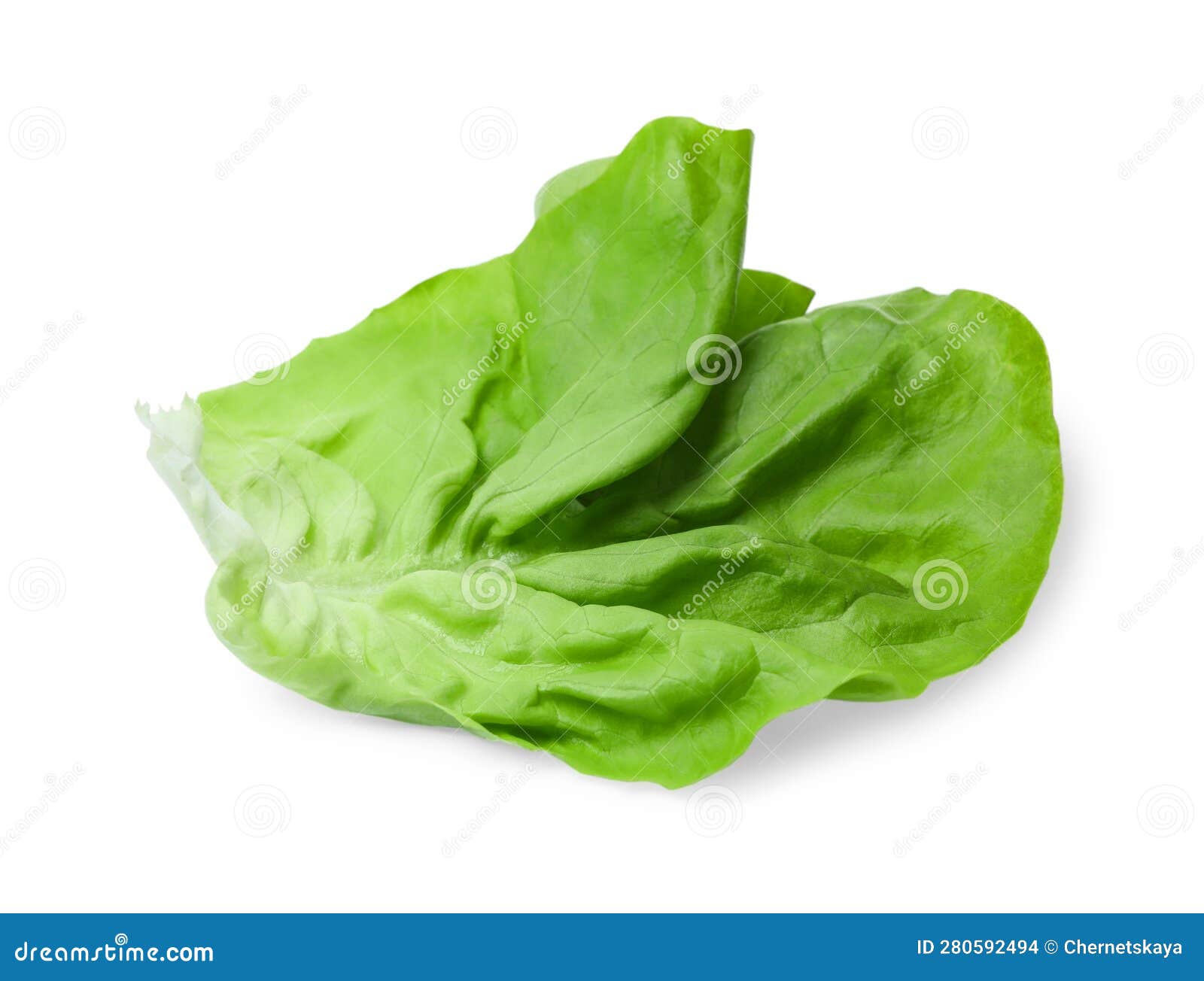 Fresh Leaf of Green Butter Lettuce Isolated on White Stock Photo