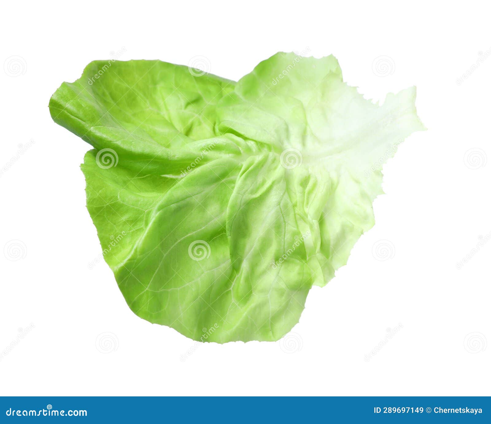 Fresh Leaf of Green Butter Lettuce Isolated on White Stock Image
