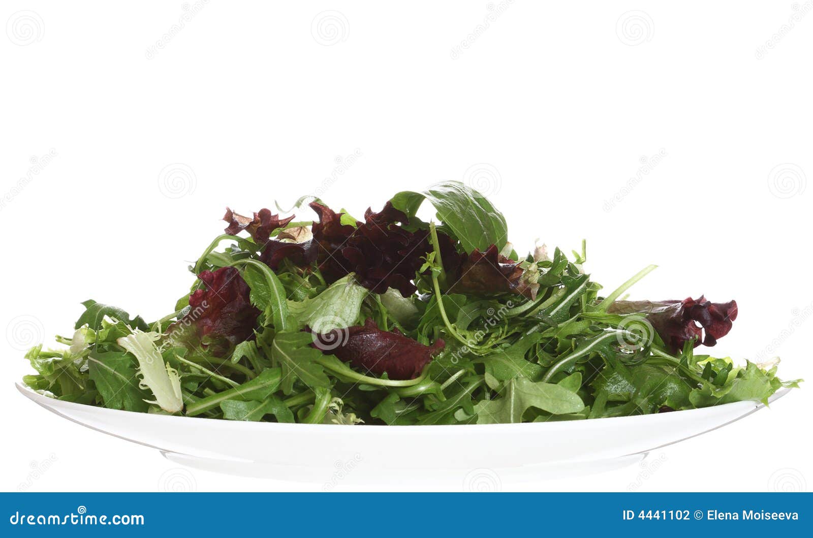 Fresh Leaf Salad on White Plate Isolated Stock Photo Image of restaurant, rosso 4441102