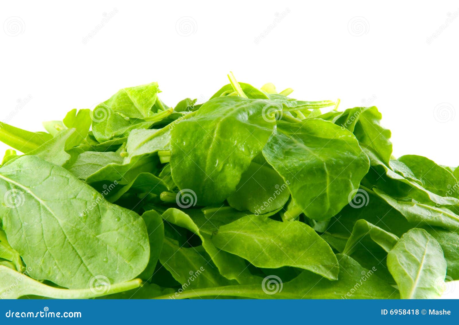 Fresh leaves spinach stock photo. Image of salad, vegetable - 6958418