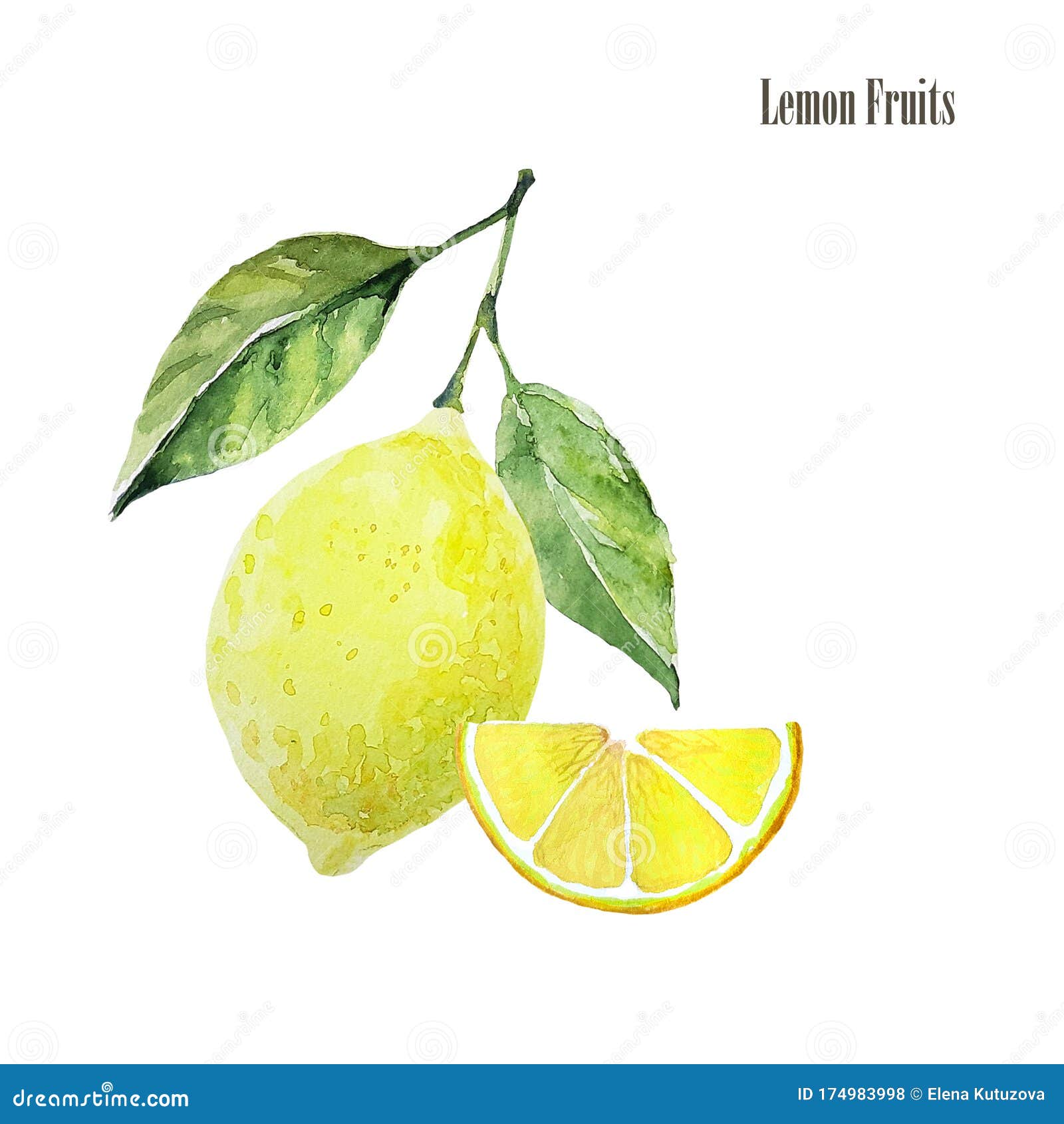 Download Fresh Lemon Fruit Arrangement Illustration. Botanical ...