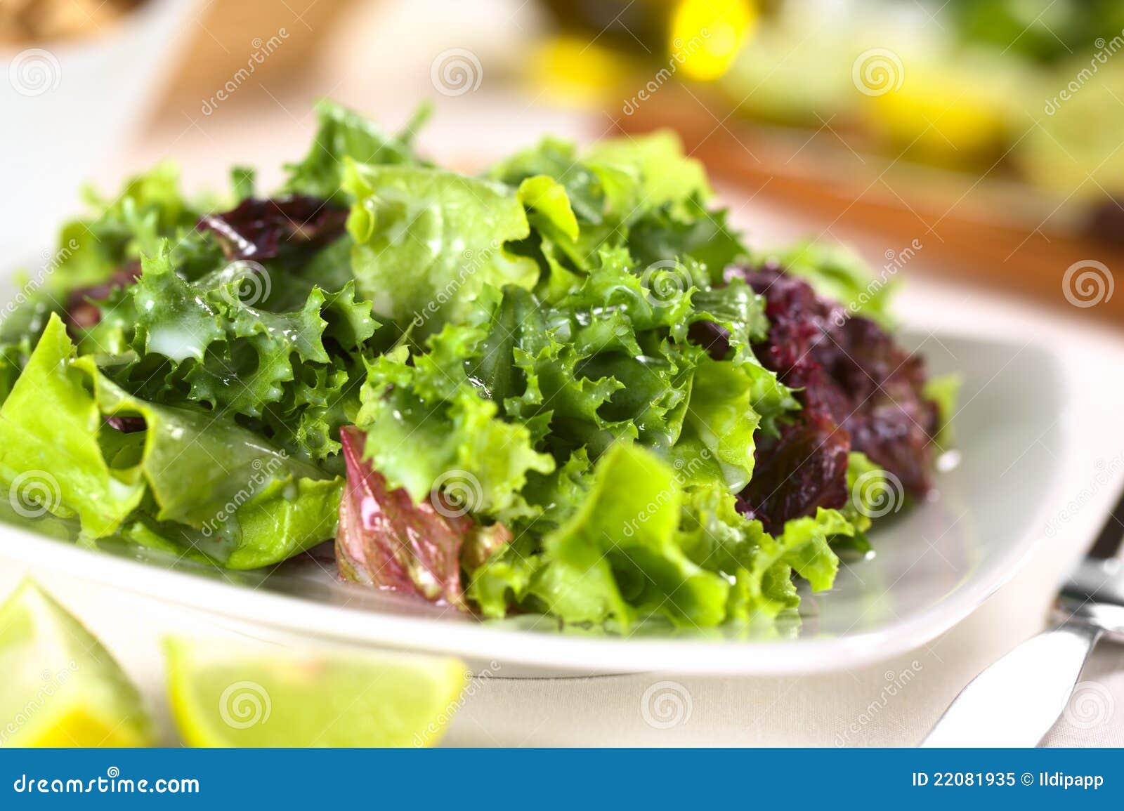Fresh Lettuce with Yogurt Dressing Stock Image Image of vegetable