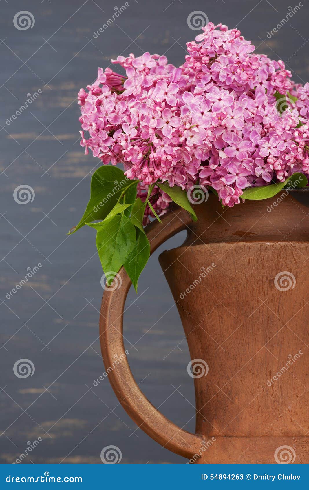 Fresh Lilac Flowers in the Brown Ceramic Pitcher Against Blue
