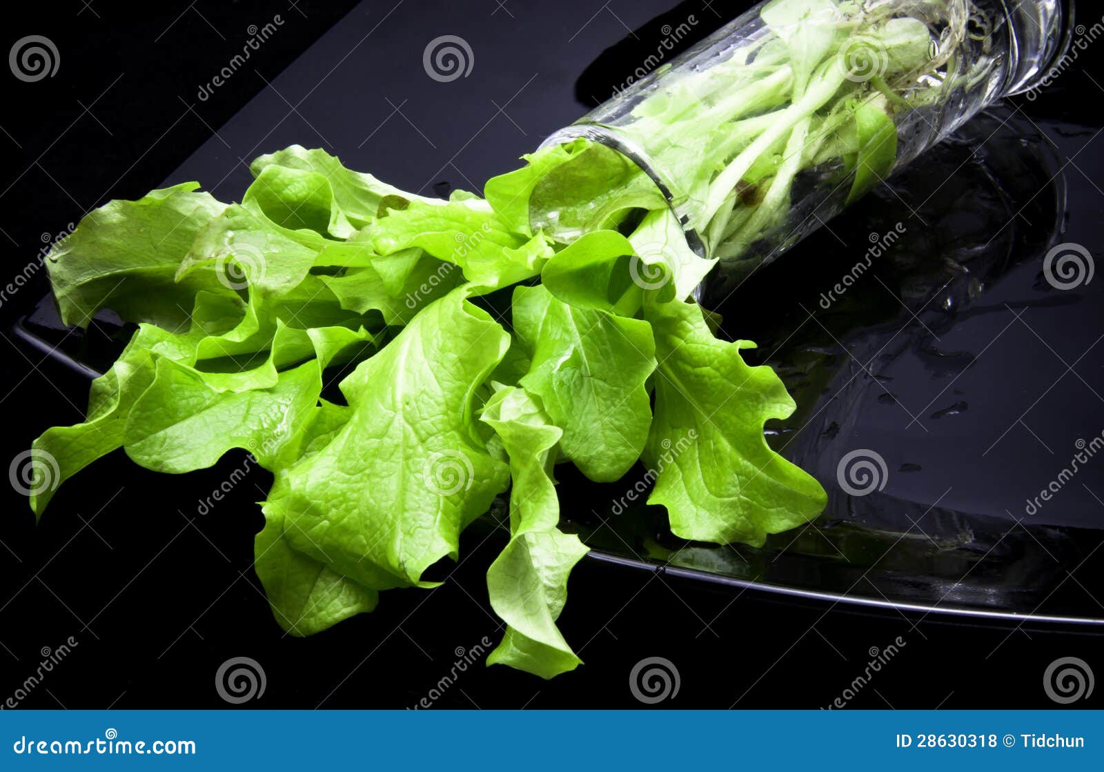 Fresh Living salad stock photo. Image of garden, menu 28630318