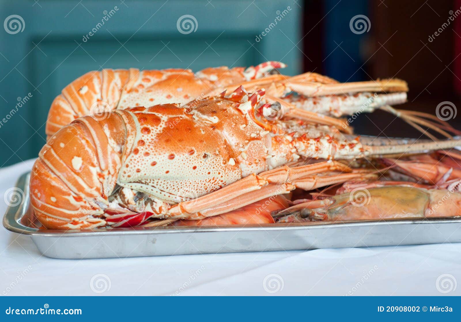 Fresh lobster plate stock photo. Image of length, catch 20908002