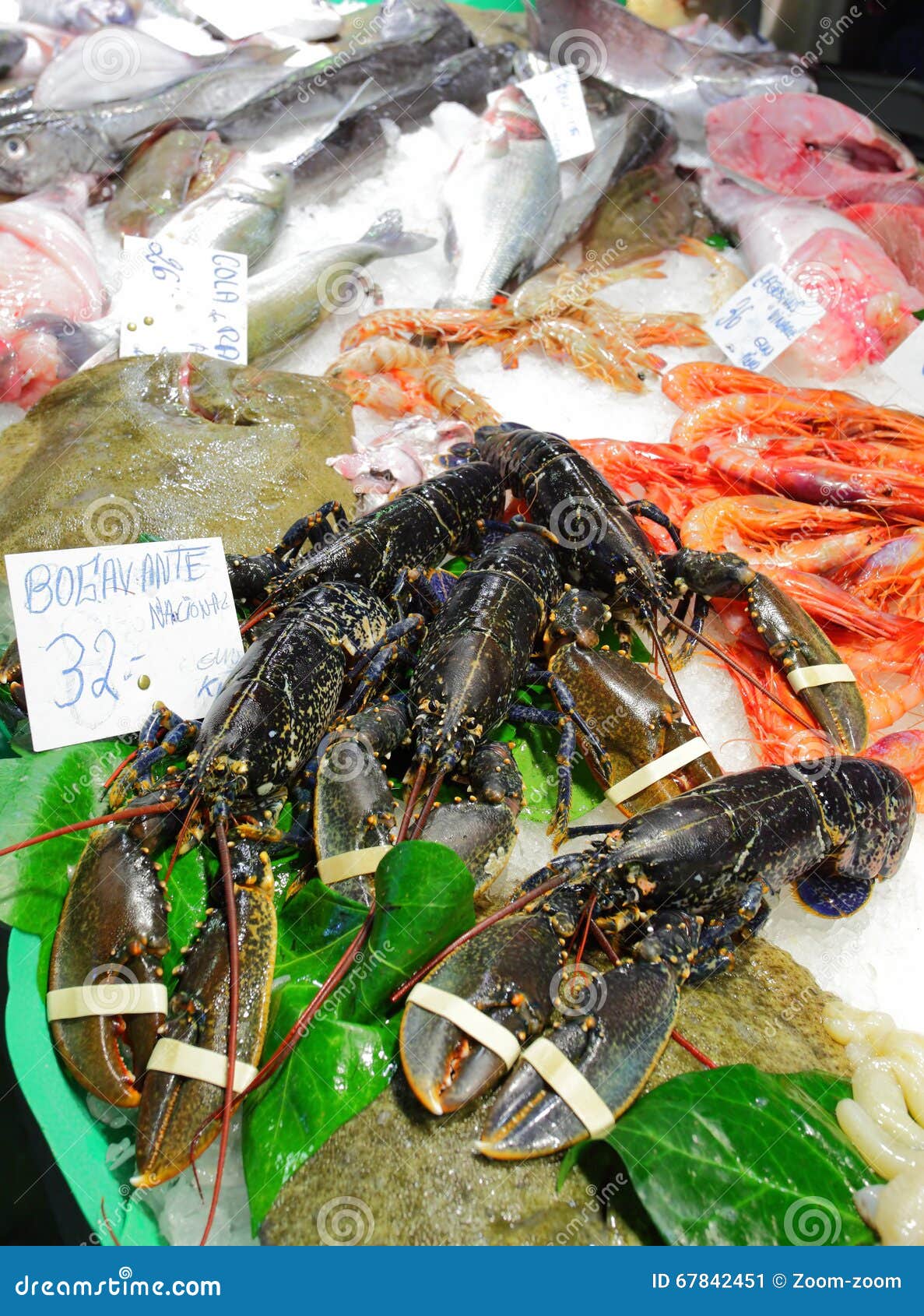 Fresh lobsters and seafood stock image. Image of fish 67842451