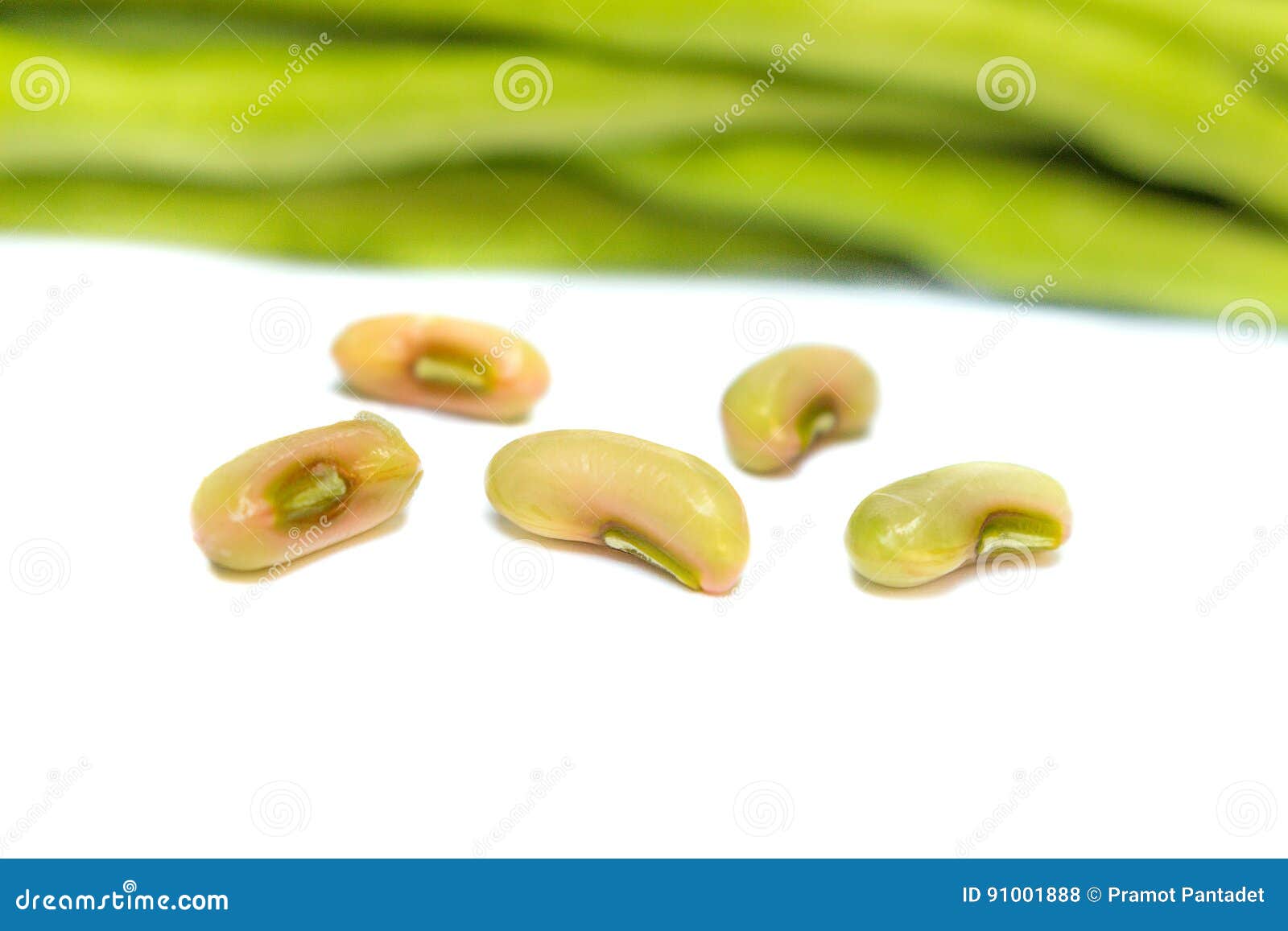 Fresh Long Beans, Cowpeas on a White Background Stock Photo Image of