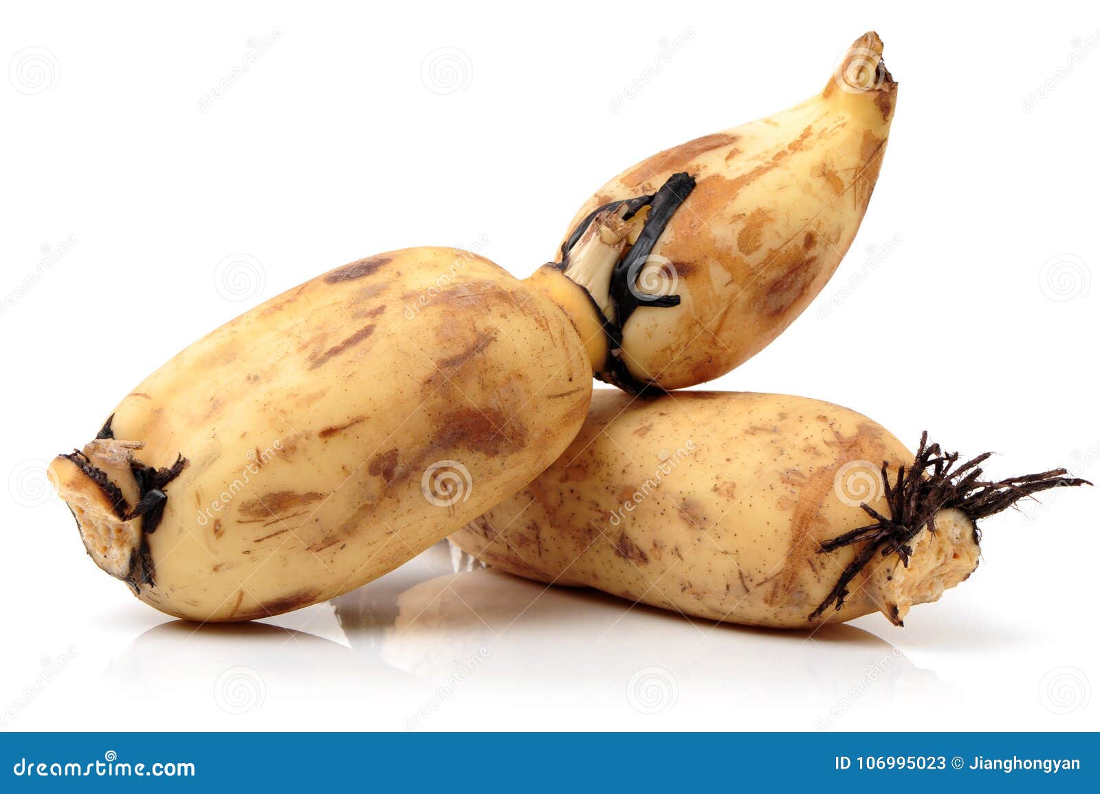 Featured image of post Lotus Root Fresh / Fresh lotus root in supermarket, selective focus.