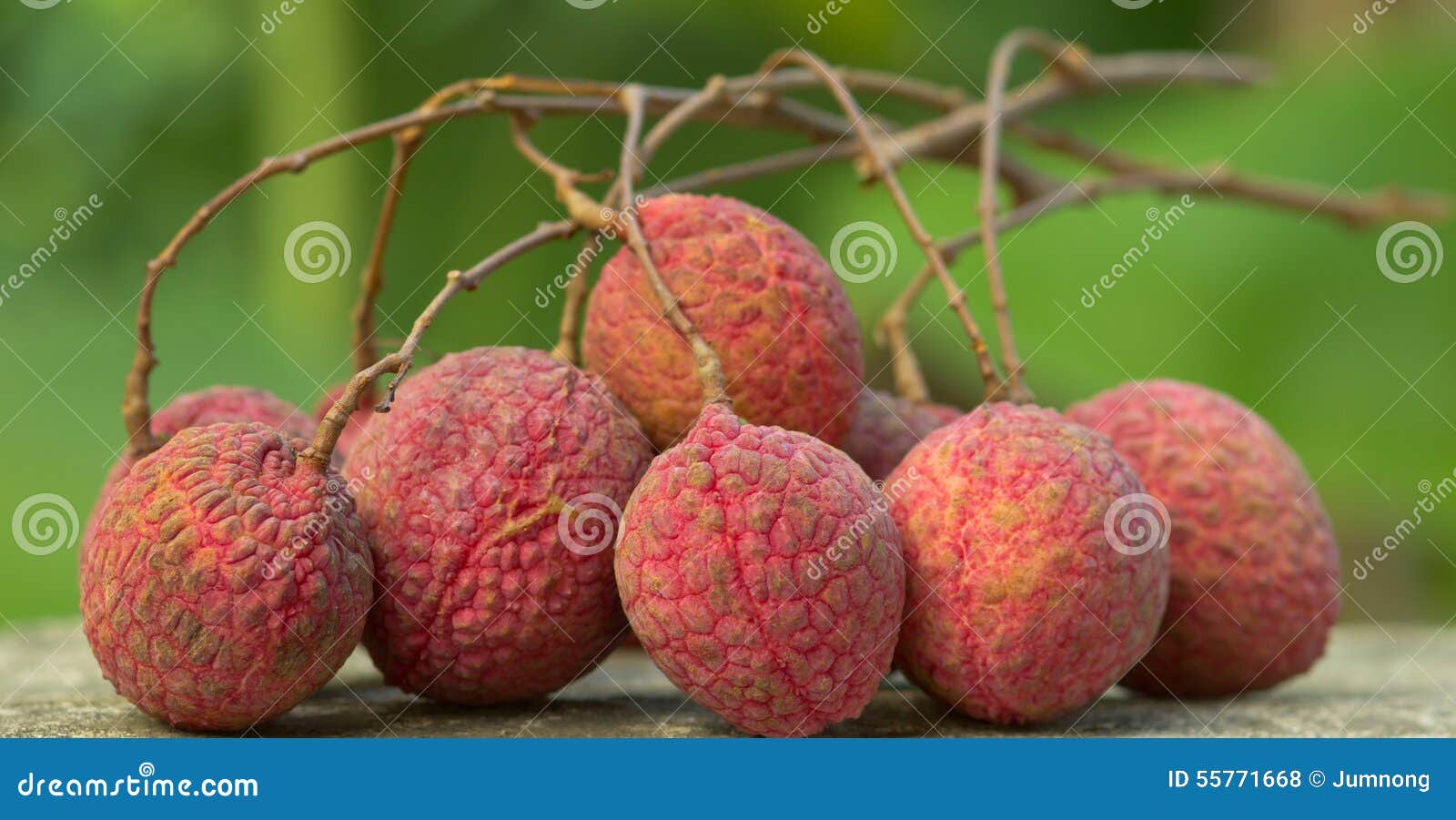 Fresh Lychees, Tropical Fruit Stock Photo Image of lychees, tropical 55771668