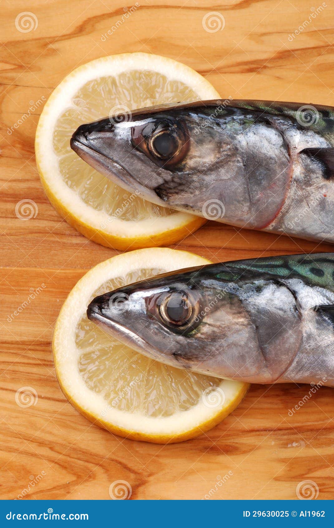 Fresh mackerel stock image. Image of fresh, meal, omega 29630025