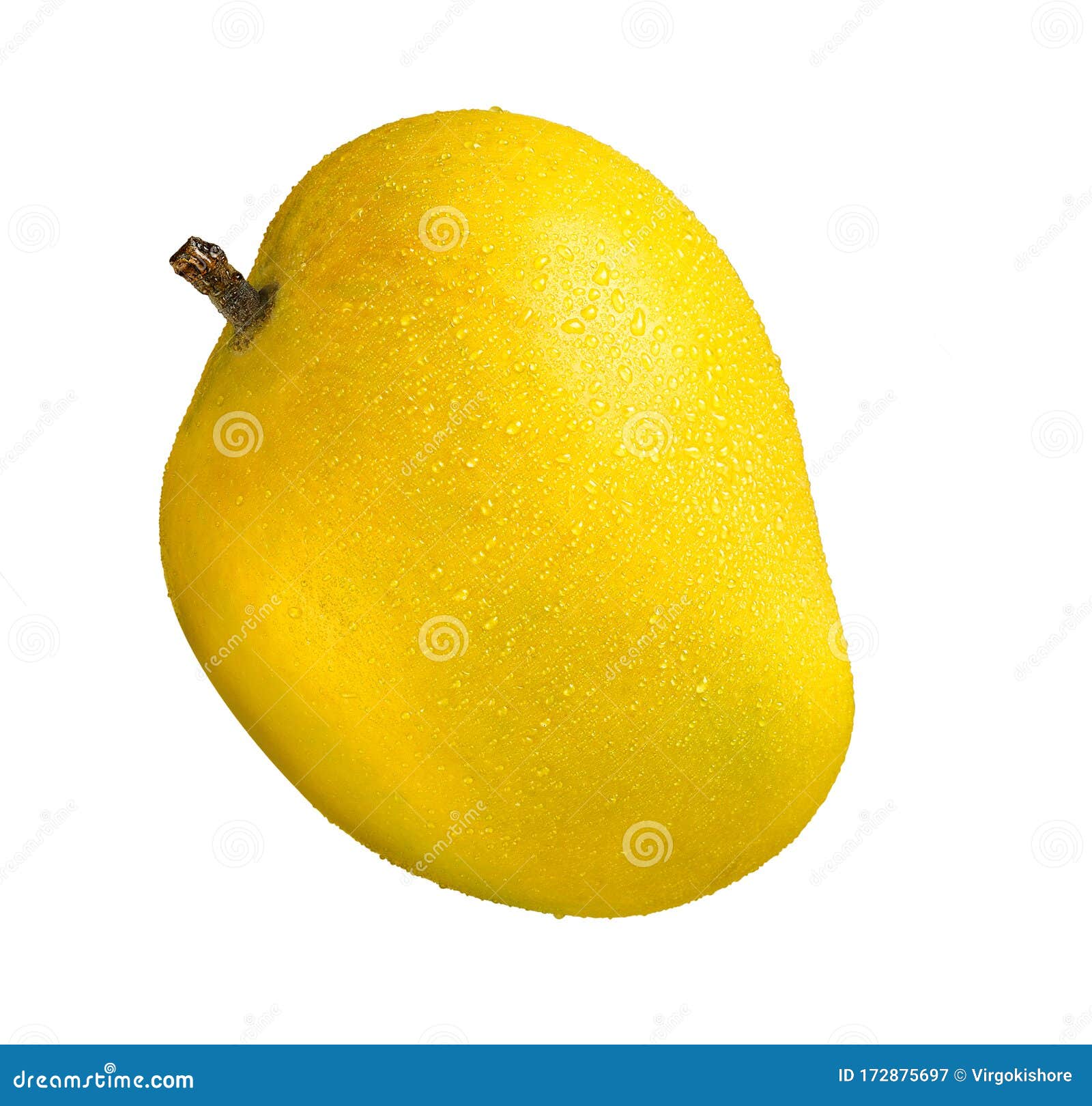 fresh mango  on white background indian mango alphonso mango
