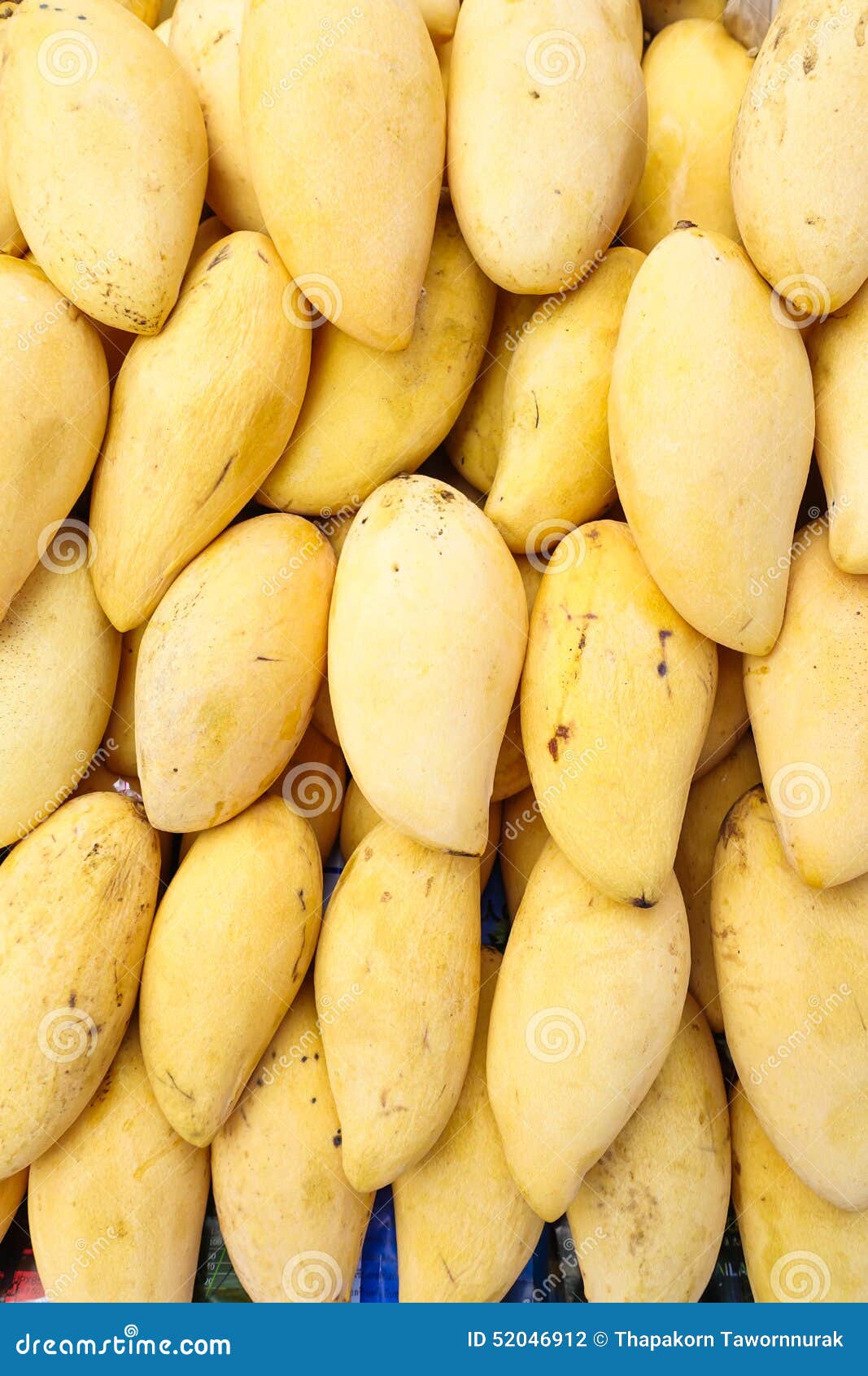 Fresh mango on sale stock photo. Image of ripe, delicious 52046912