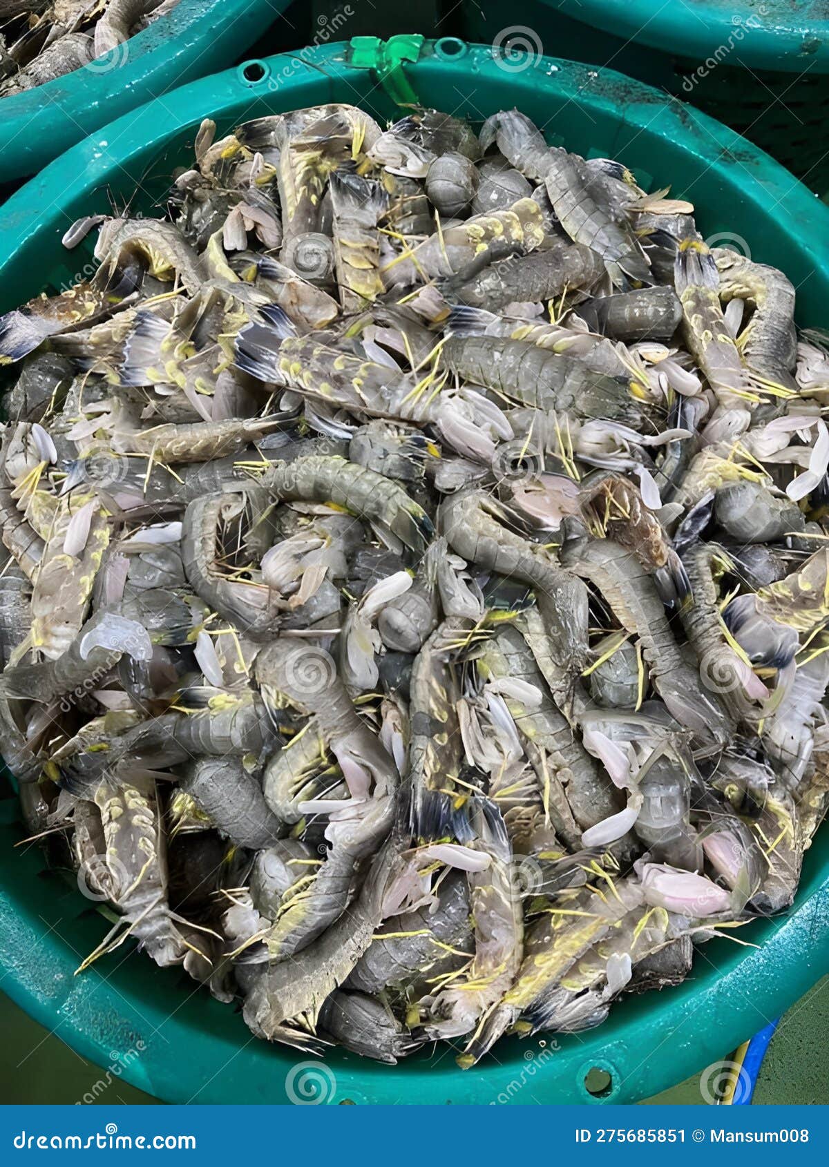 Fresh Mantis Shrimp Thai Street Food Display Stomatopods Background