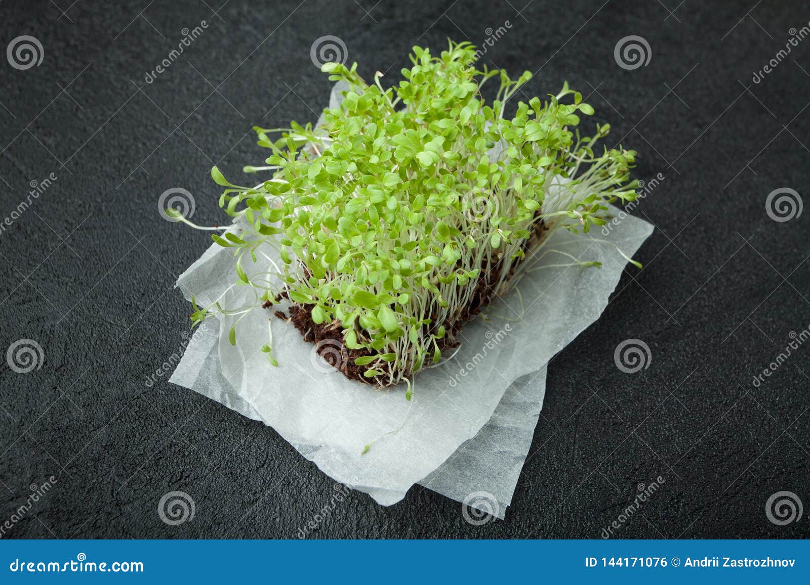 fresh micro-green salad with roots on paper on a black background. immunity stimulant and prolongation of youth