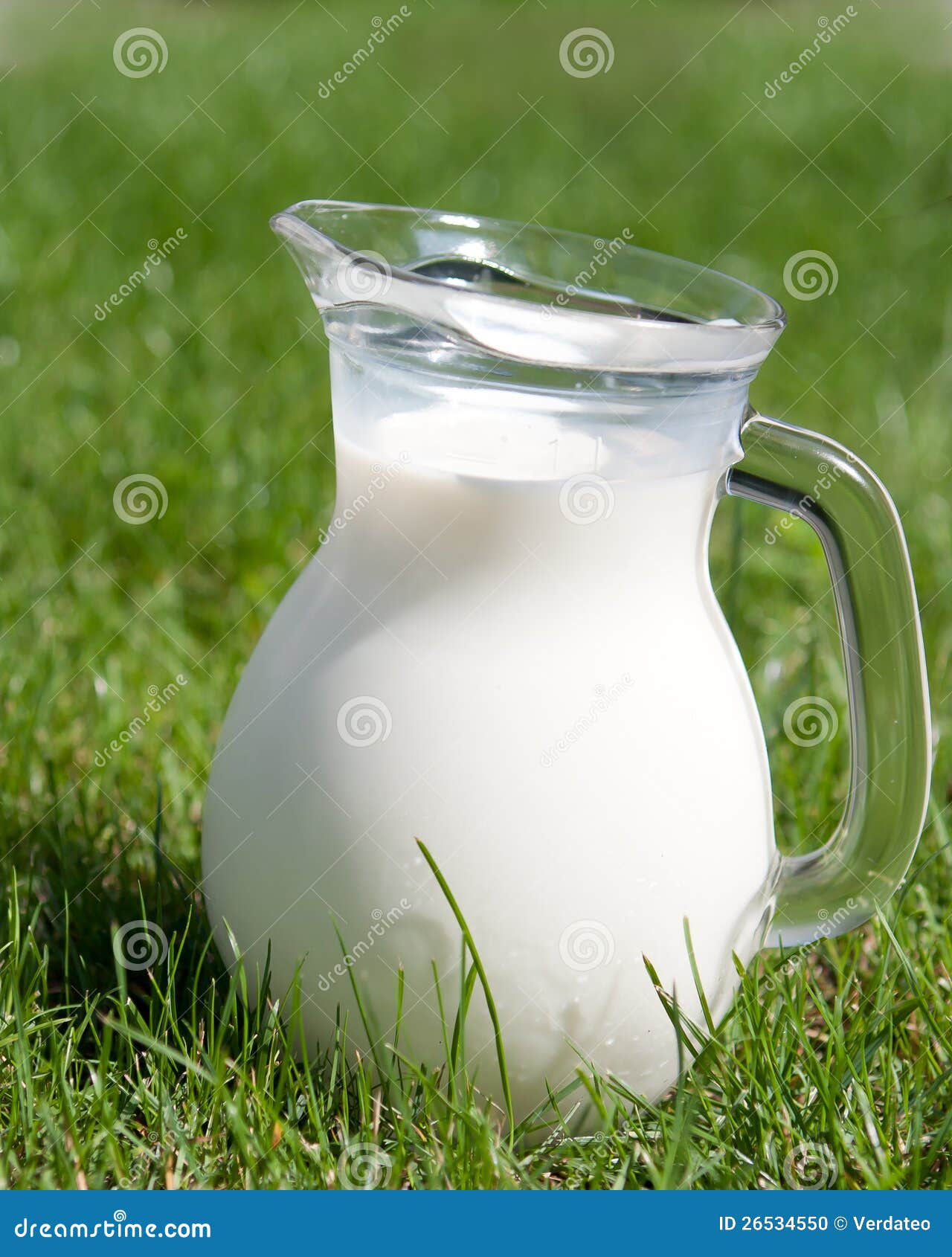 Fresh Milk in Glass Jug in a Green Grass Stock Photo Image of organic