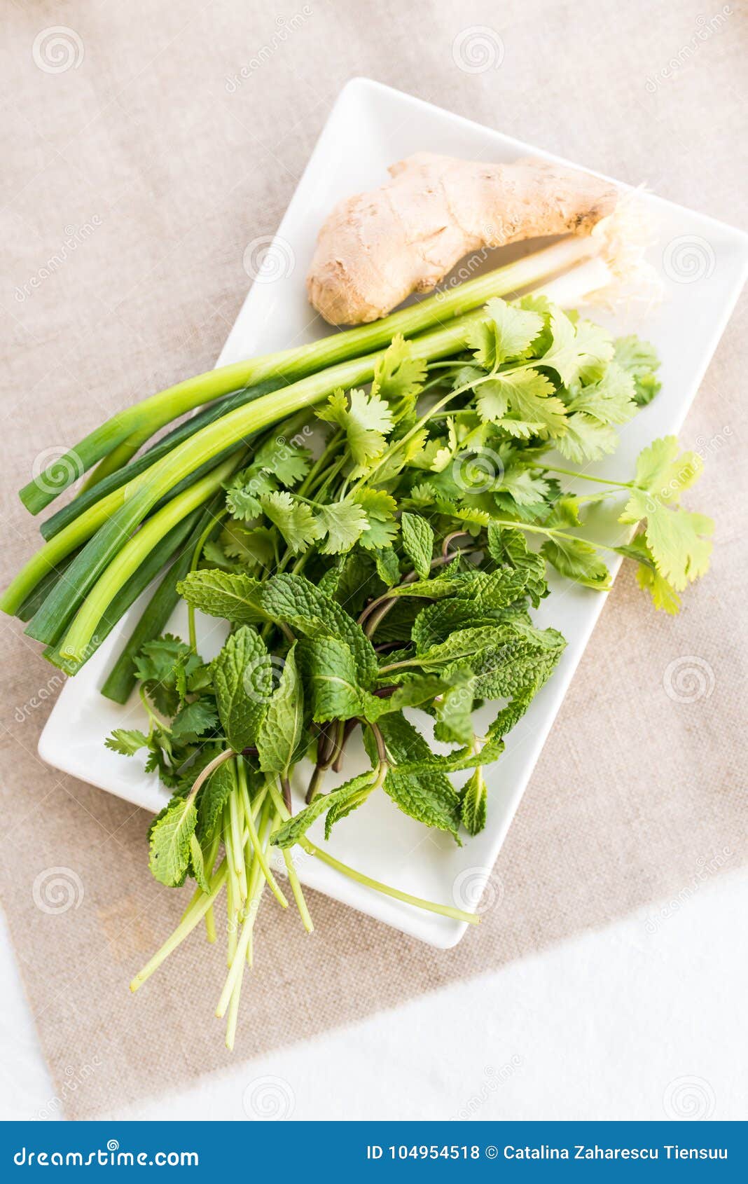 Fresh herbs for Pho soup stock photo. Image of mint 104954518