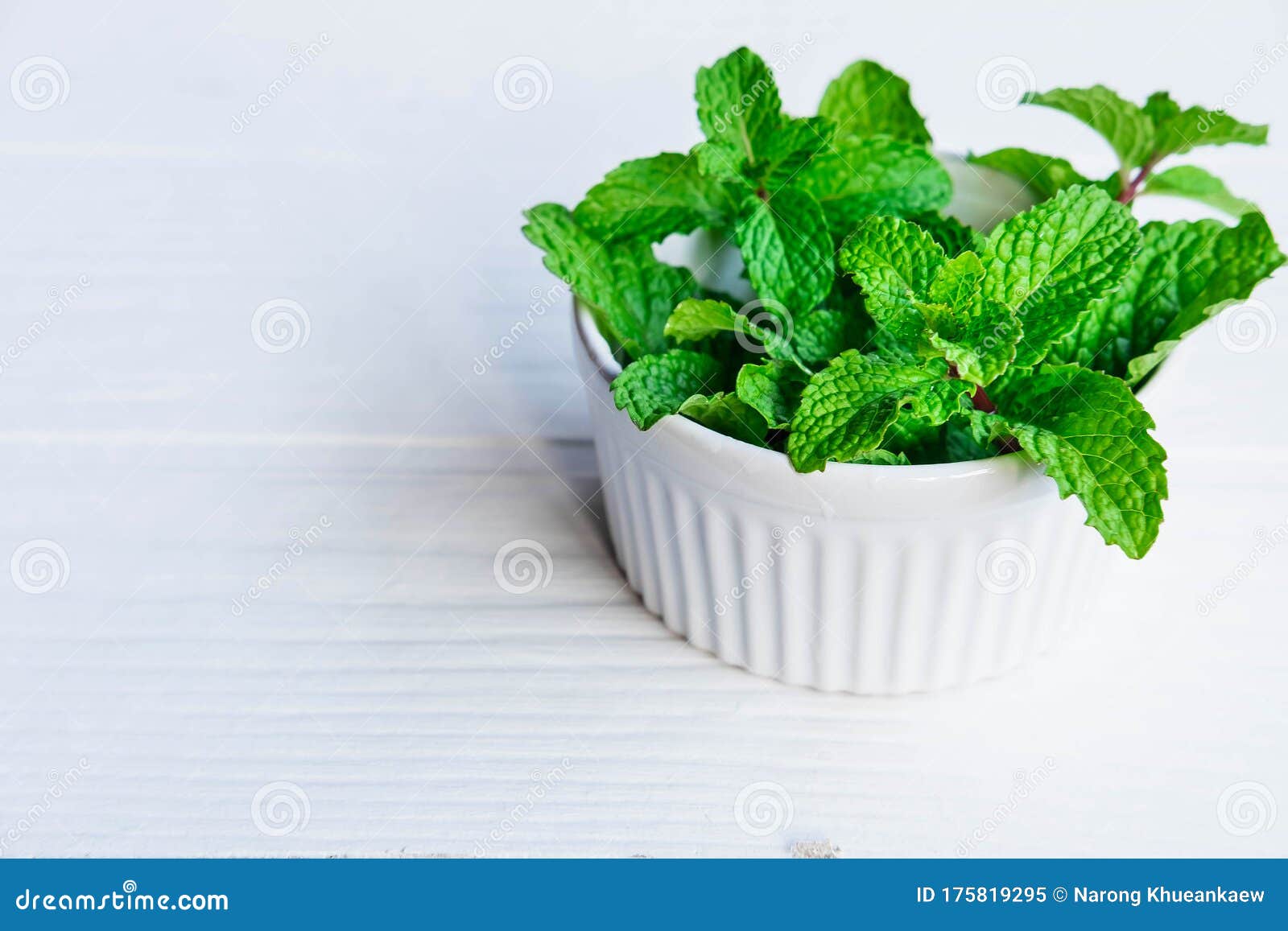 Fresh Mint Herbs in a White Bowl Stock Image Image of healthy, leaf