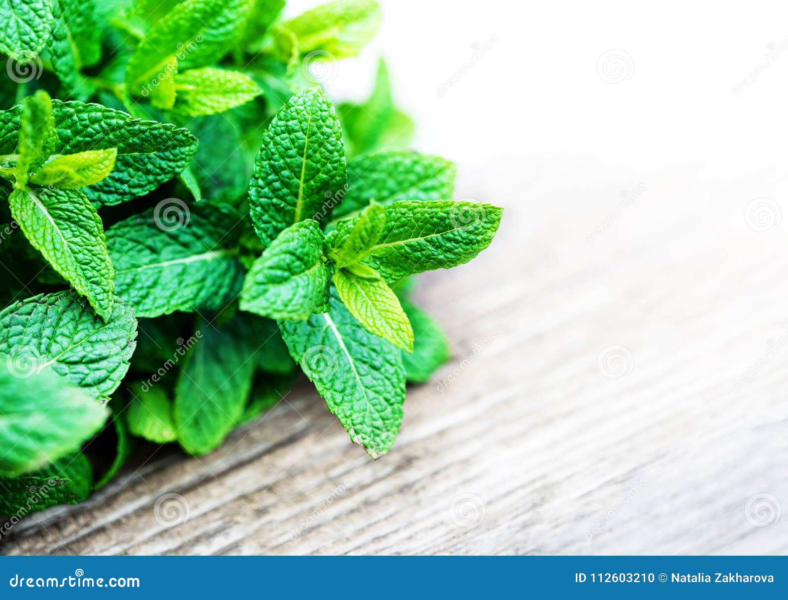 Fresh green mint leaves on blue background, flat lay. Space for text Stock  Photo