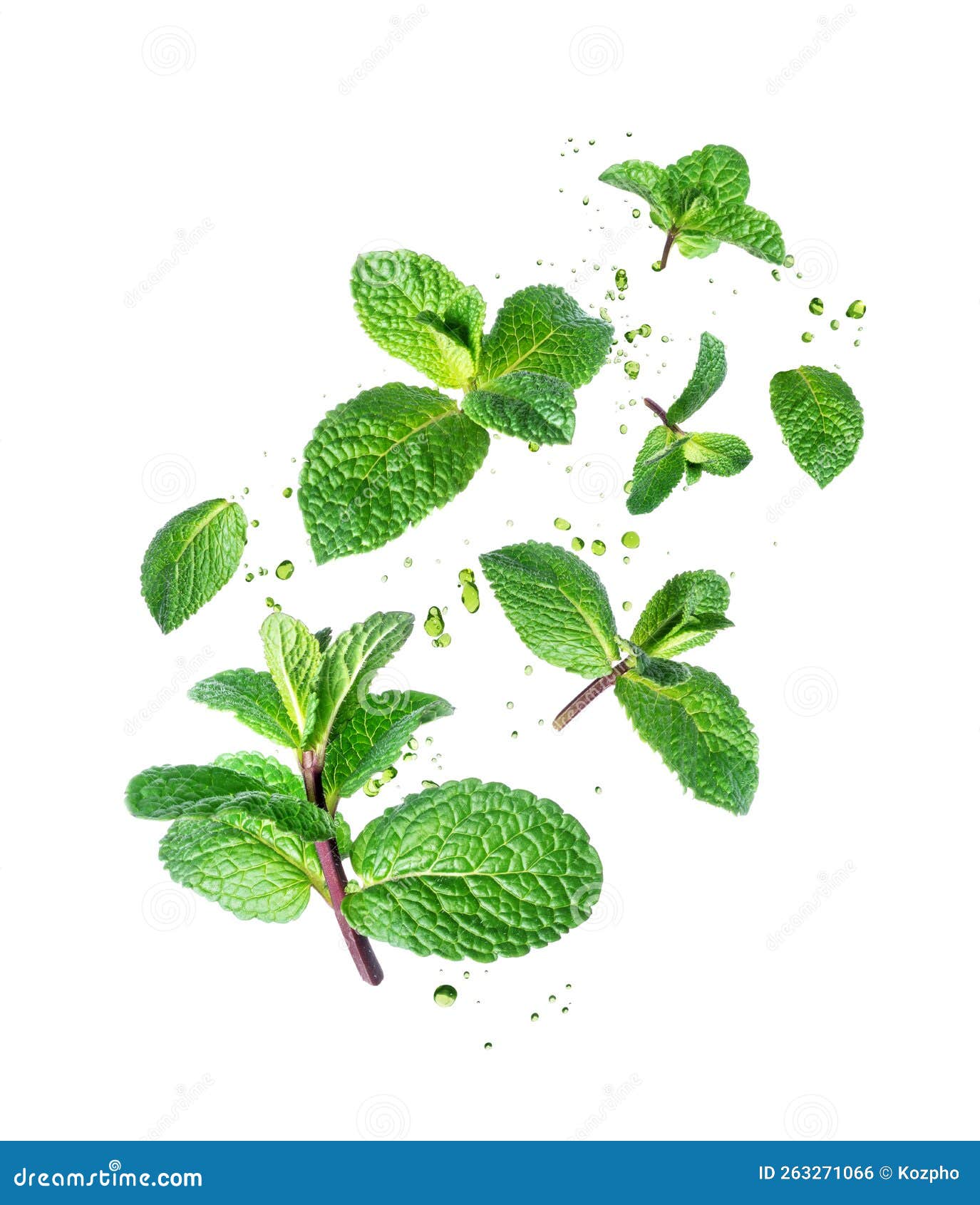 Fresh Mint Leaves with Drops in the Air Isolated on a White Background