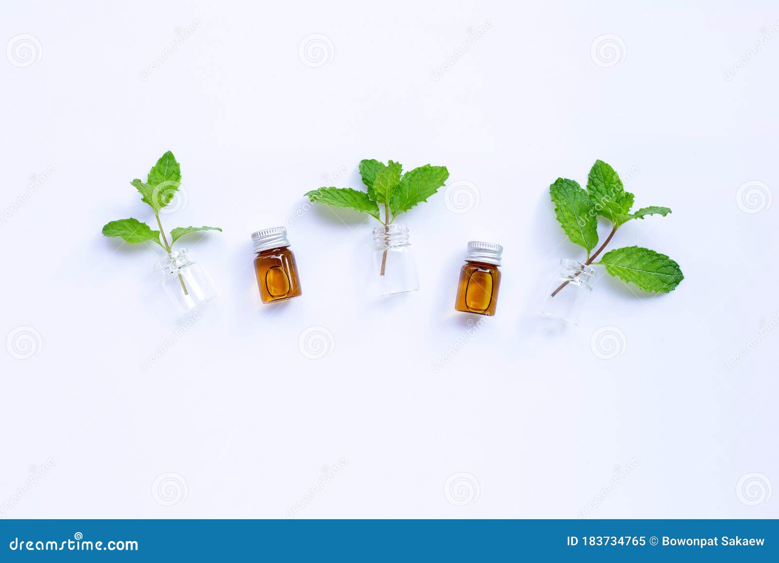 Fresh Mint Leaves with Essential Oil Bottle on White Background Stock